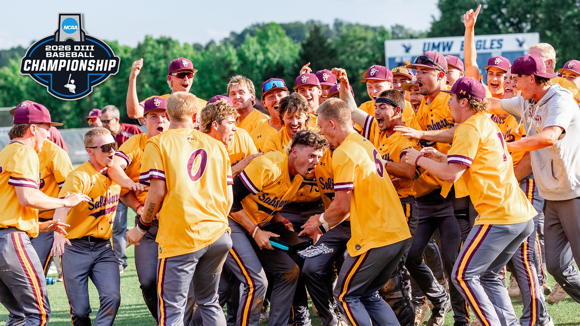 NCAA BSB Regional Preview banner 2026