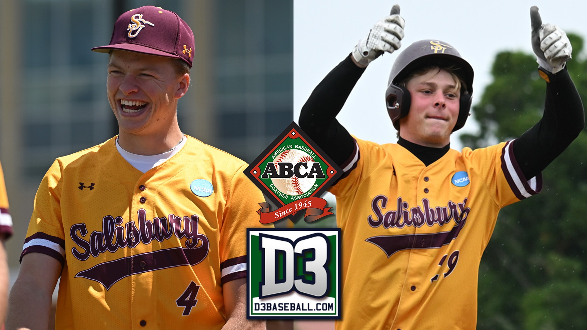 ABCA-D3baseball All-Region banner