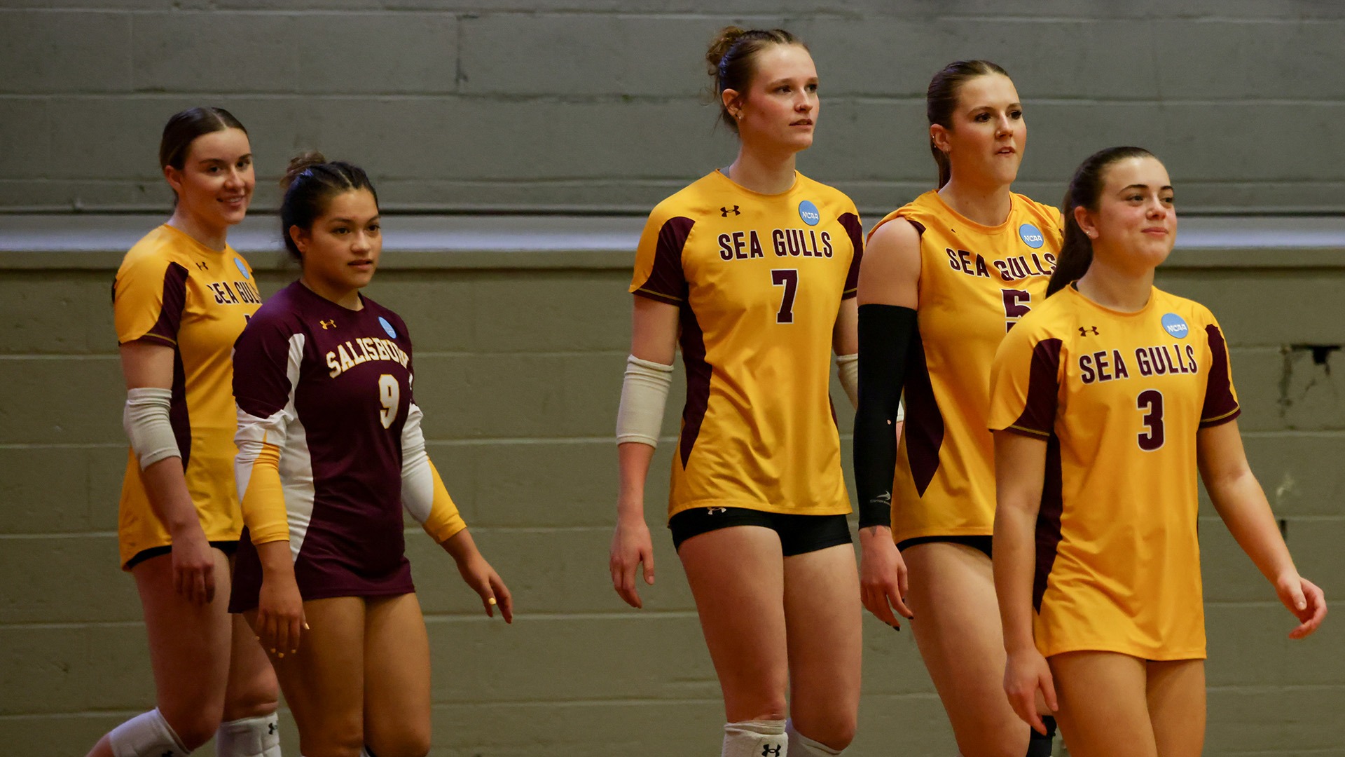 Volleyball NCAA Walkout 11-20-25