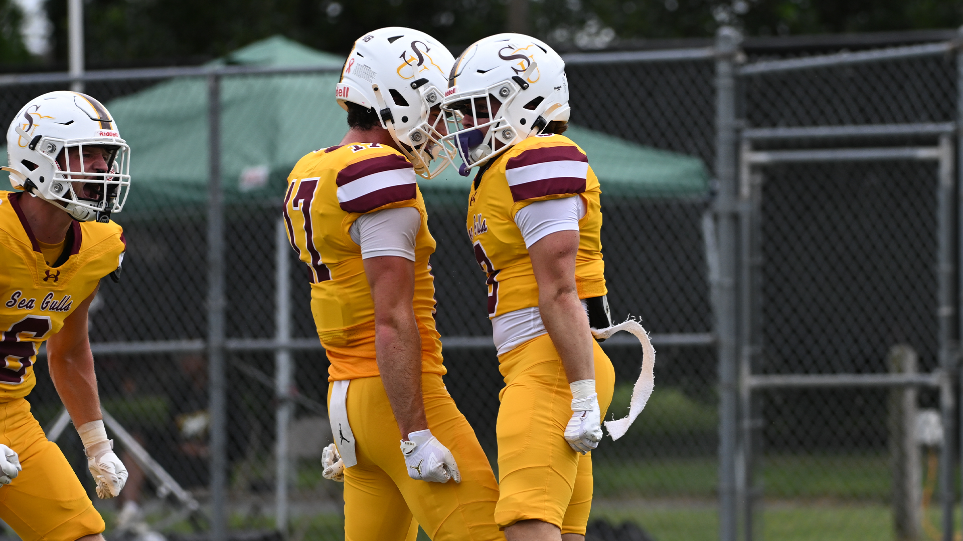 FB W&L Preview