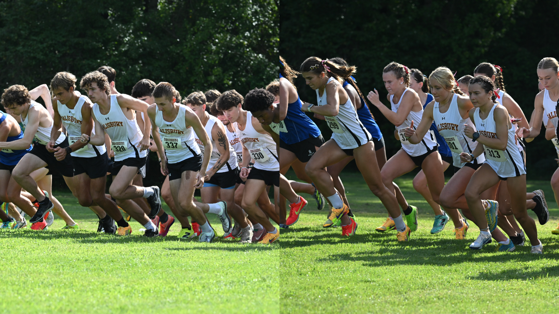 XC 2026 Season Opener