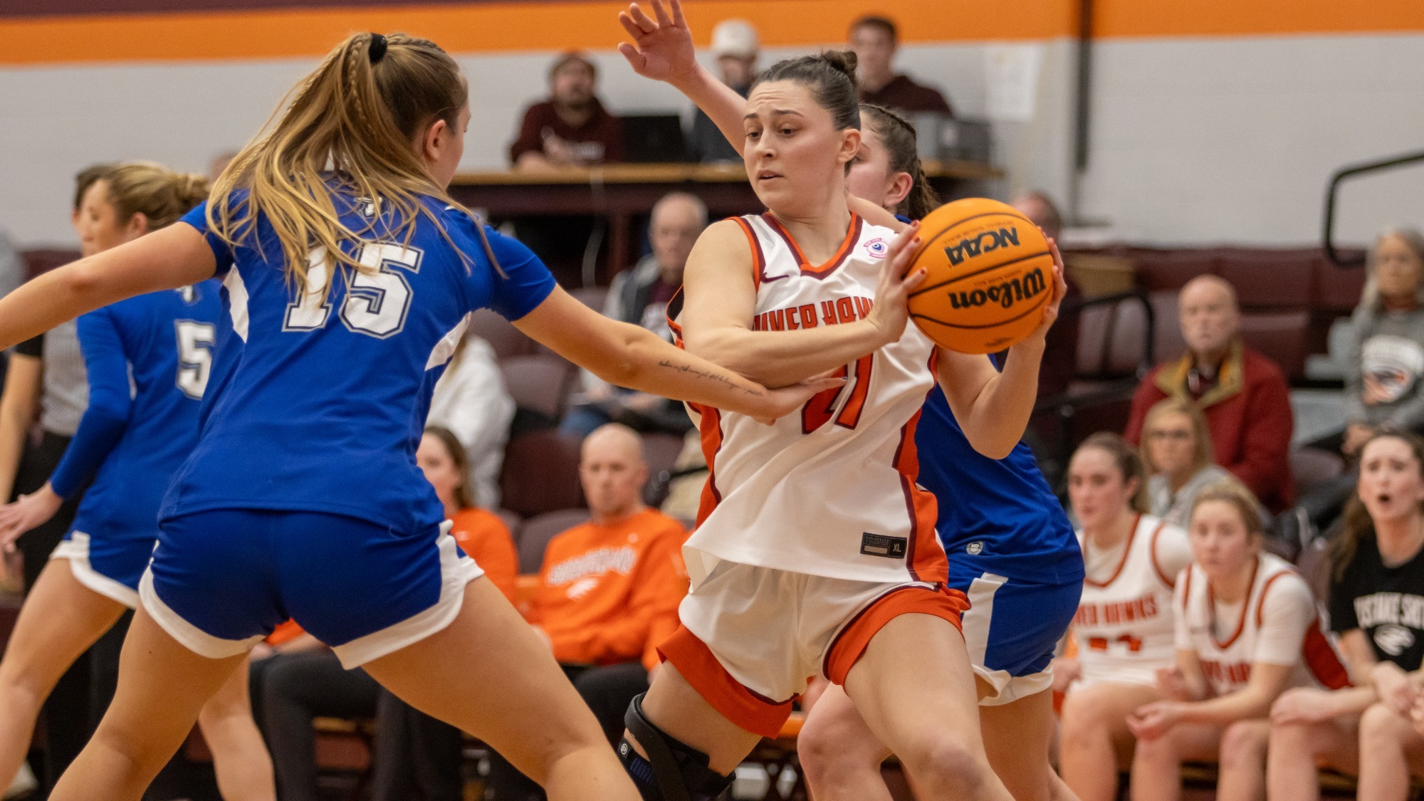 Julia Roth Elizabethtown