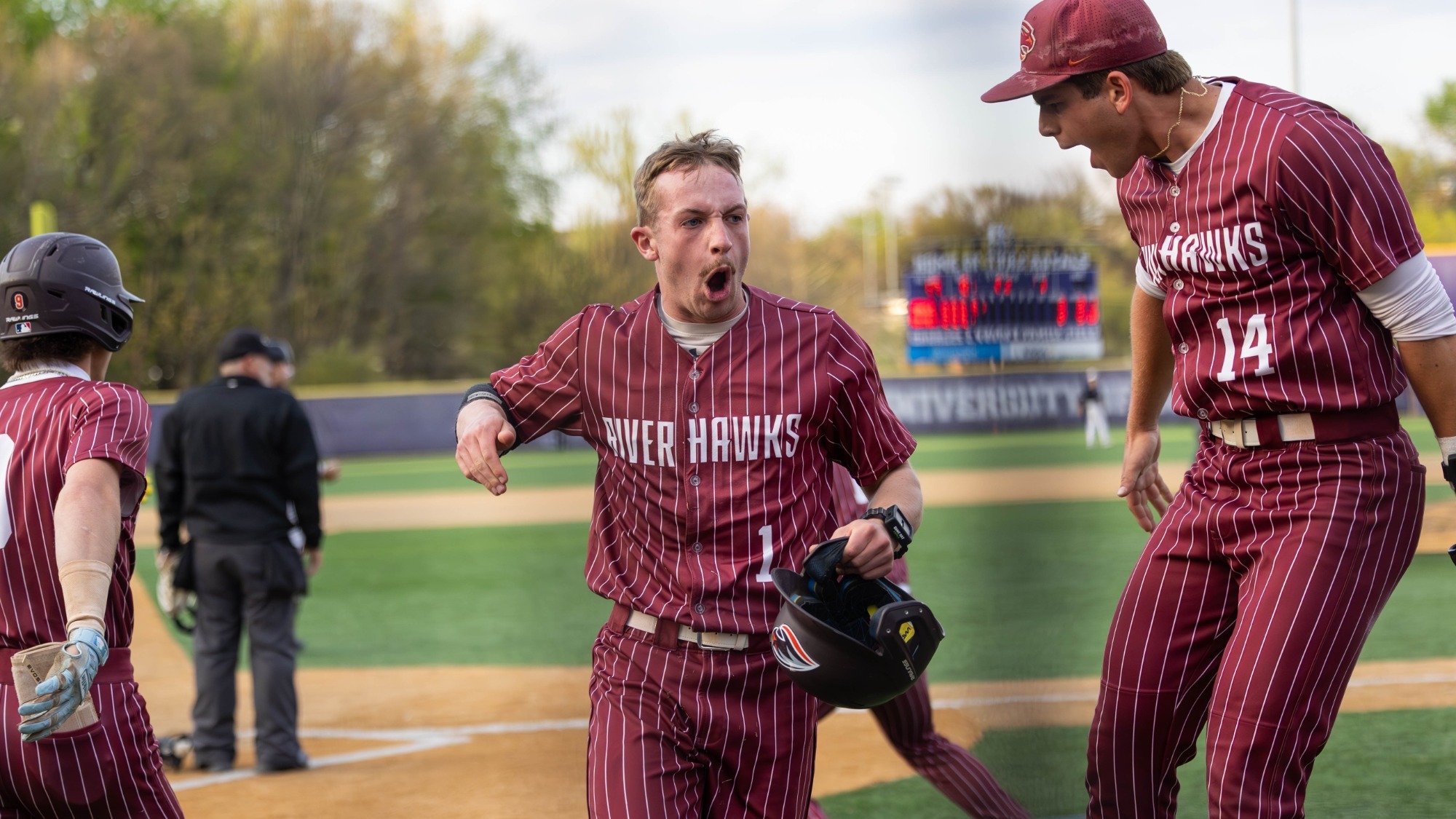 Paul Daly Michael Gagliardi