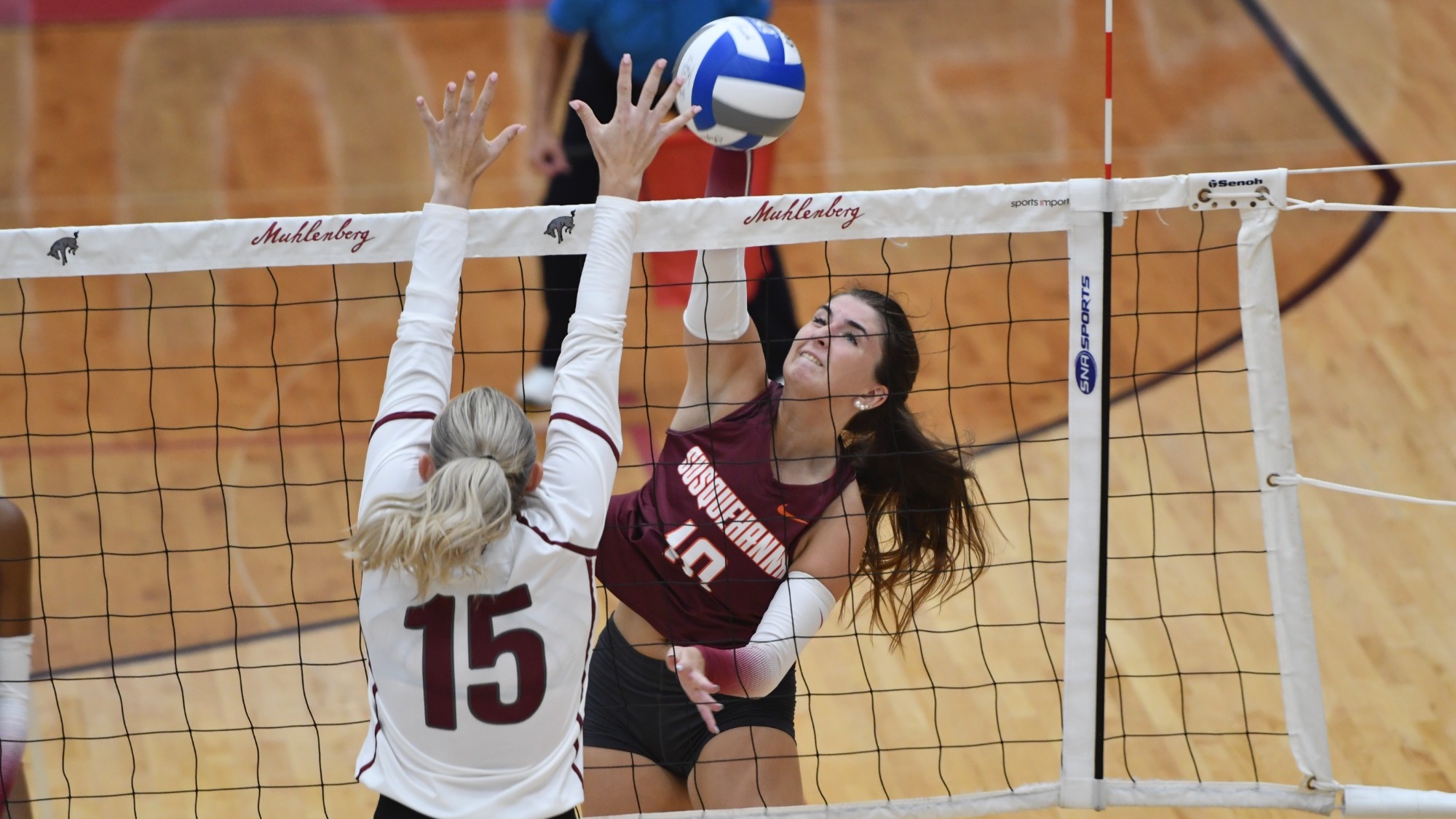 Volleyball Muhlenberg