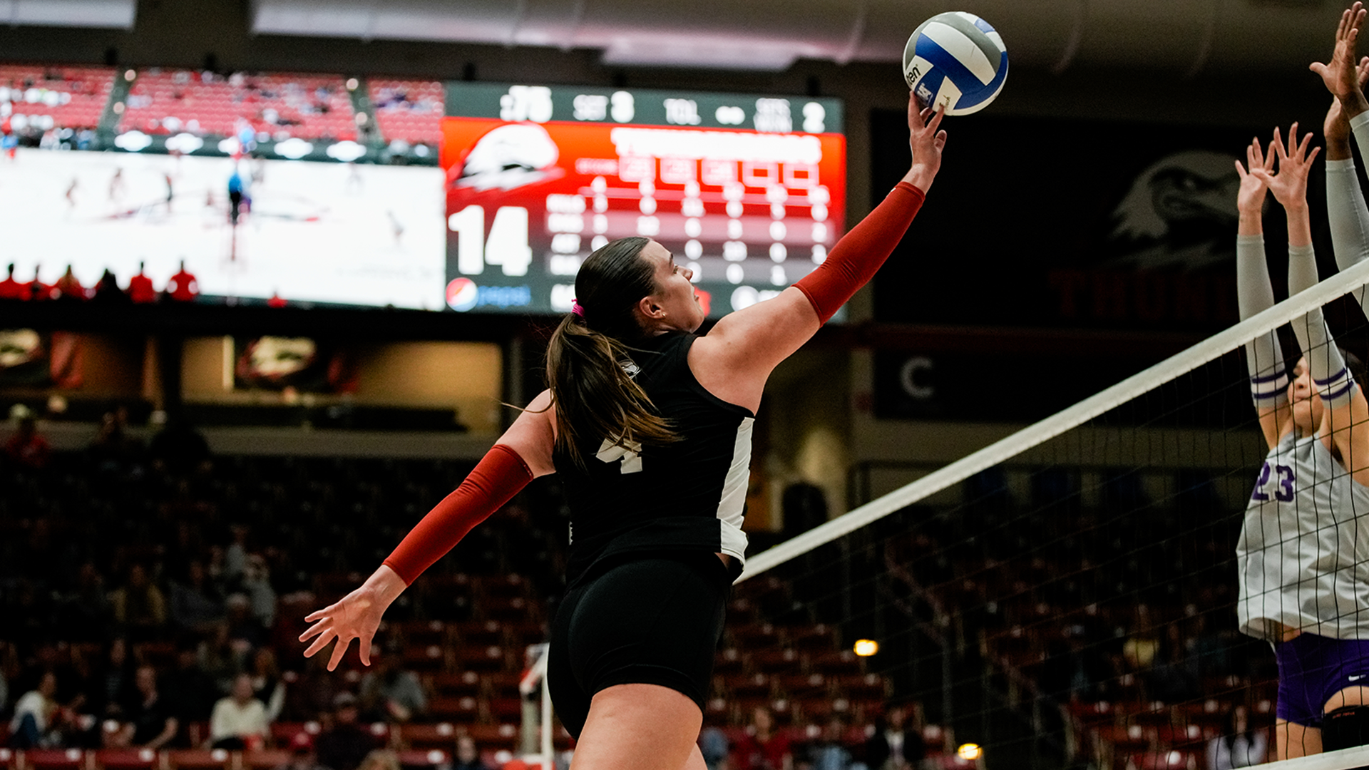 charlotte wilson tip