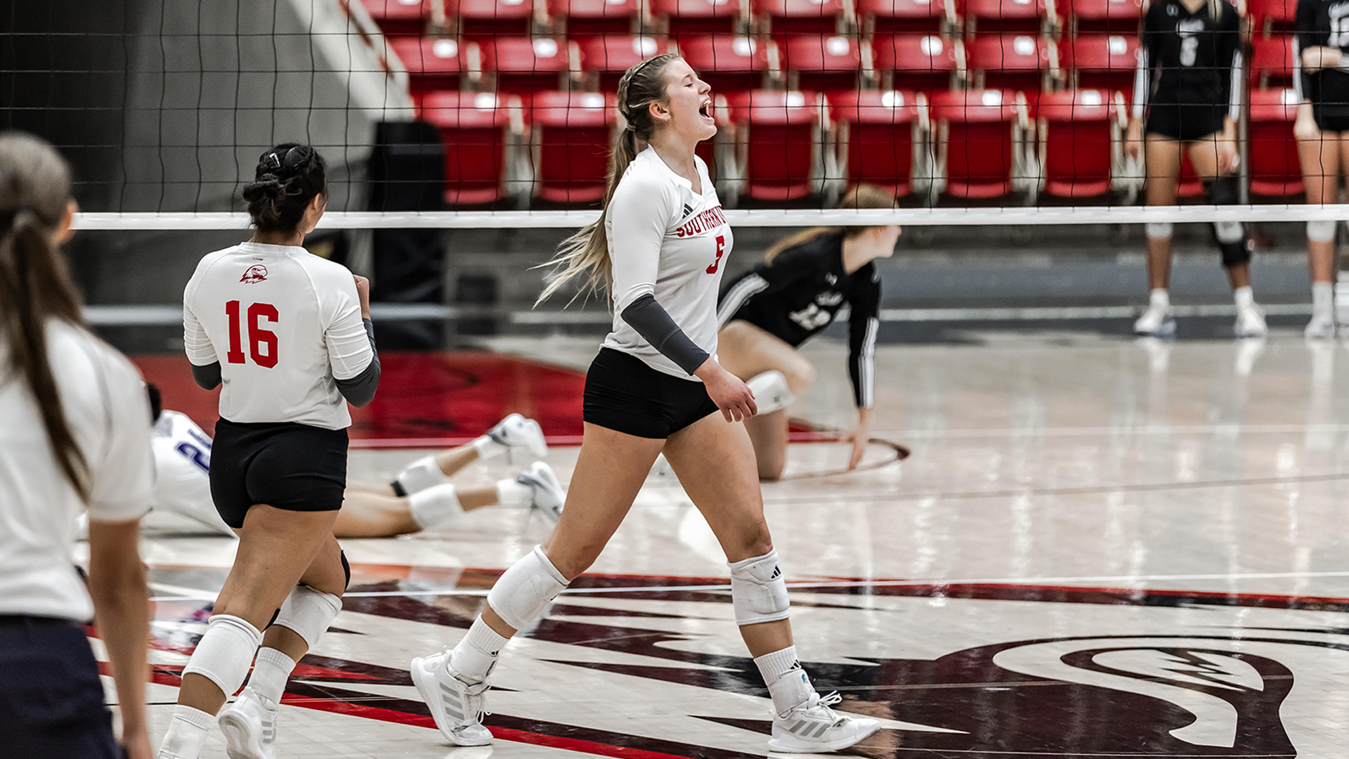 kaitlyn hoelker celebrates