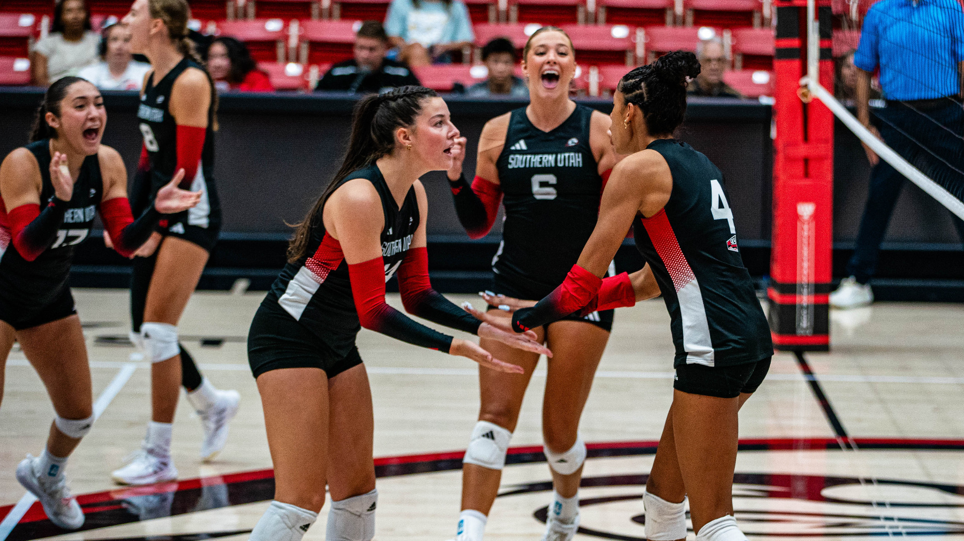 Volleyball team celebration