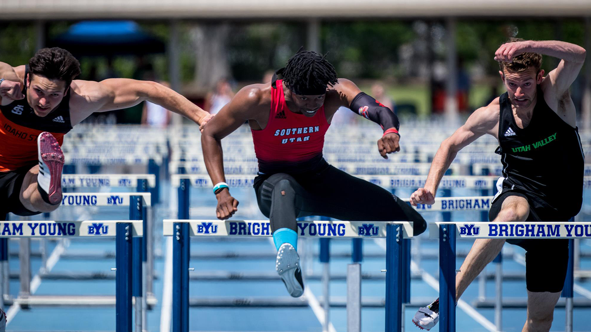 devon hurdle