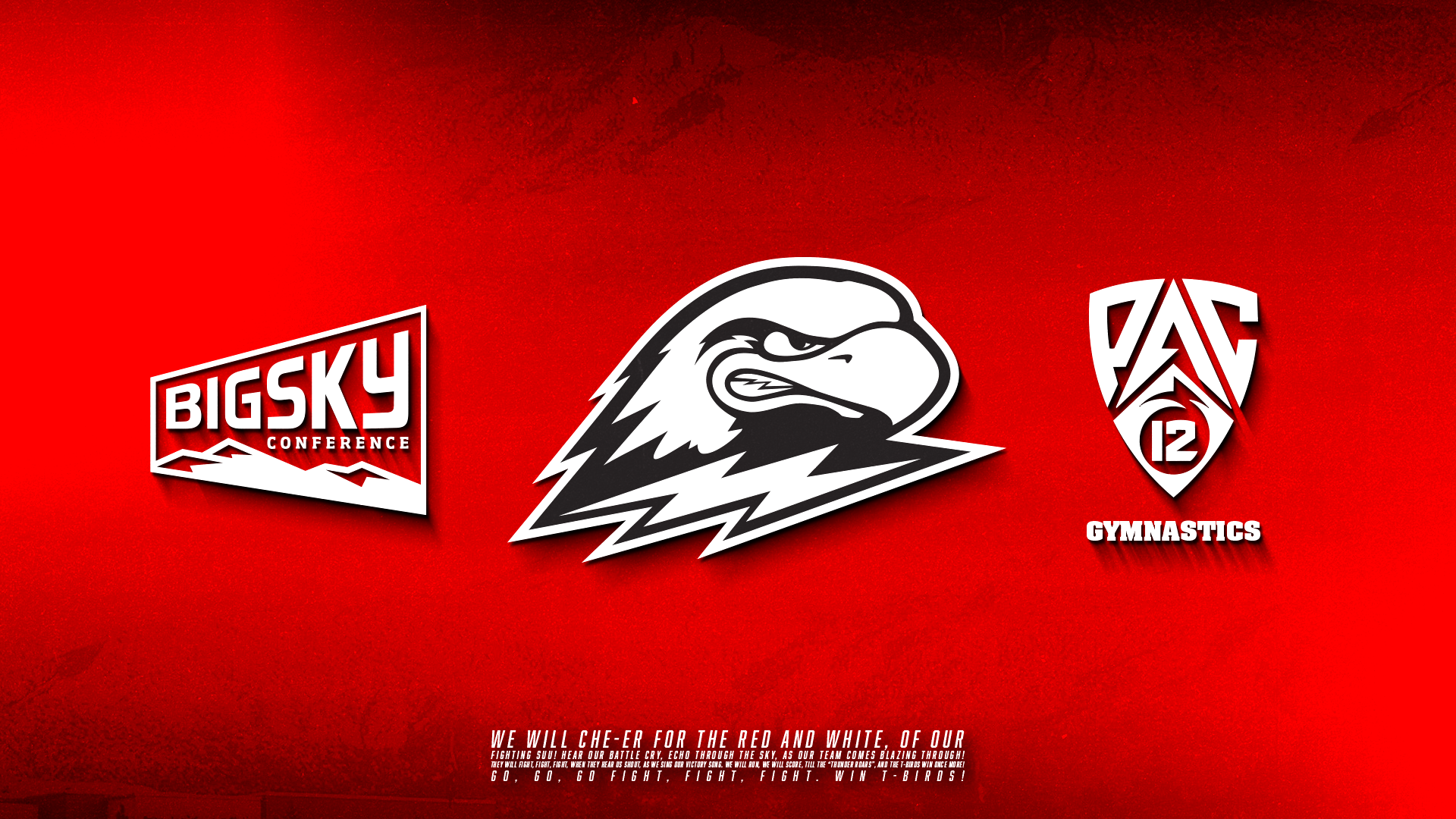 New Era Graphic with Big Sky and PAC-12 logos