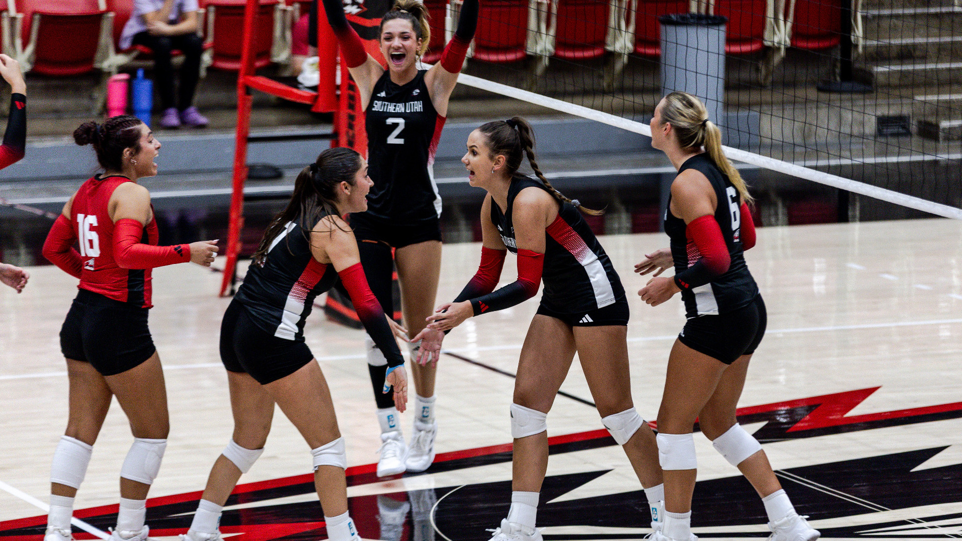 volleyball celebration