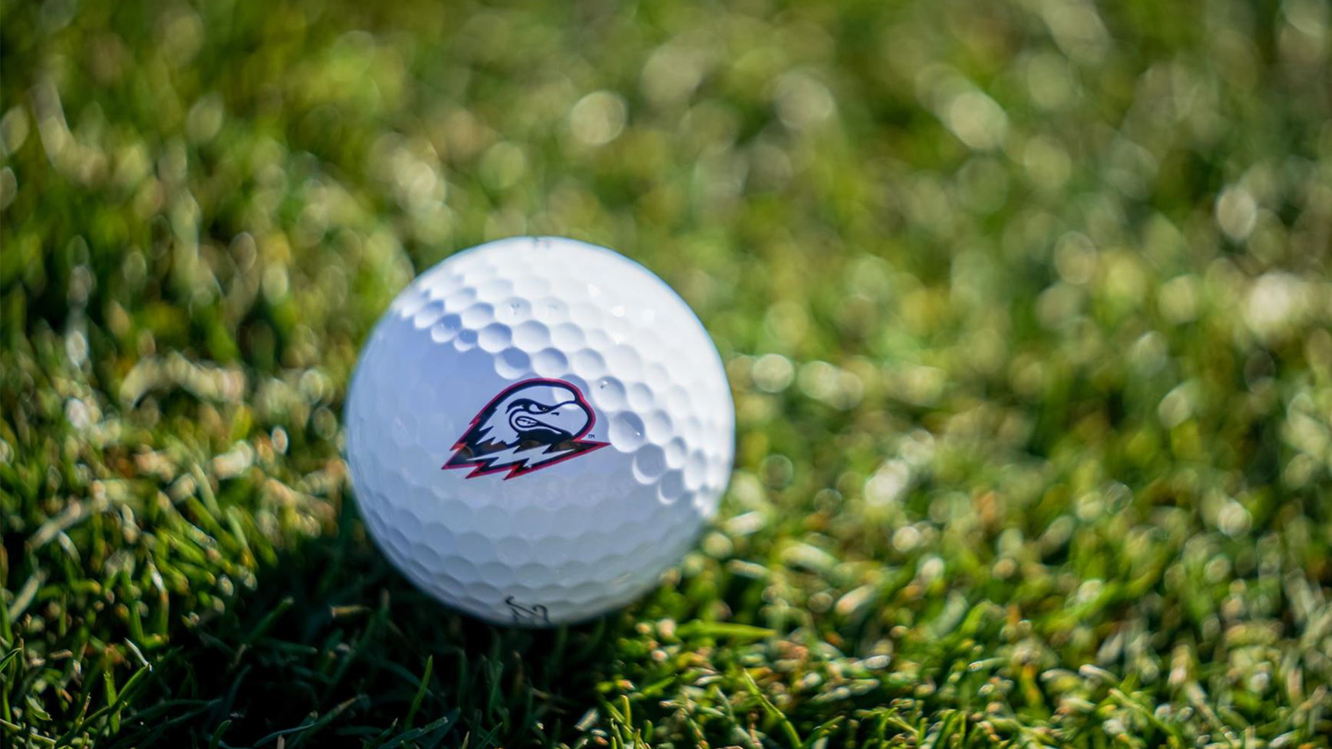 Golf ball on green grass