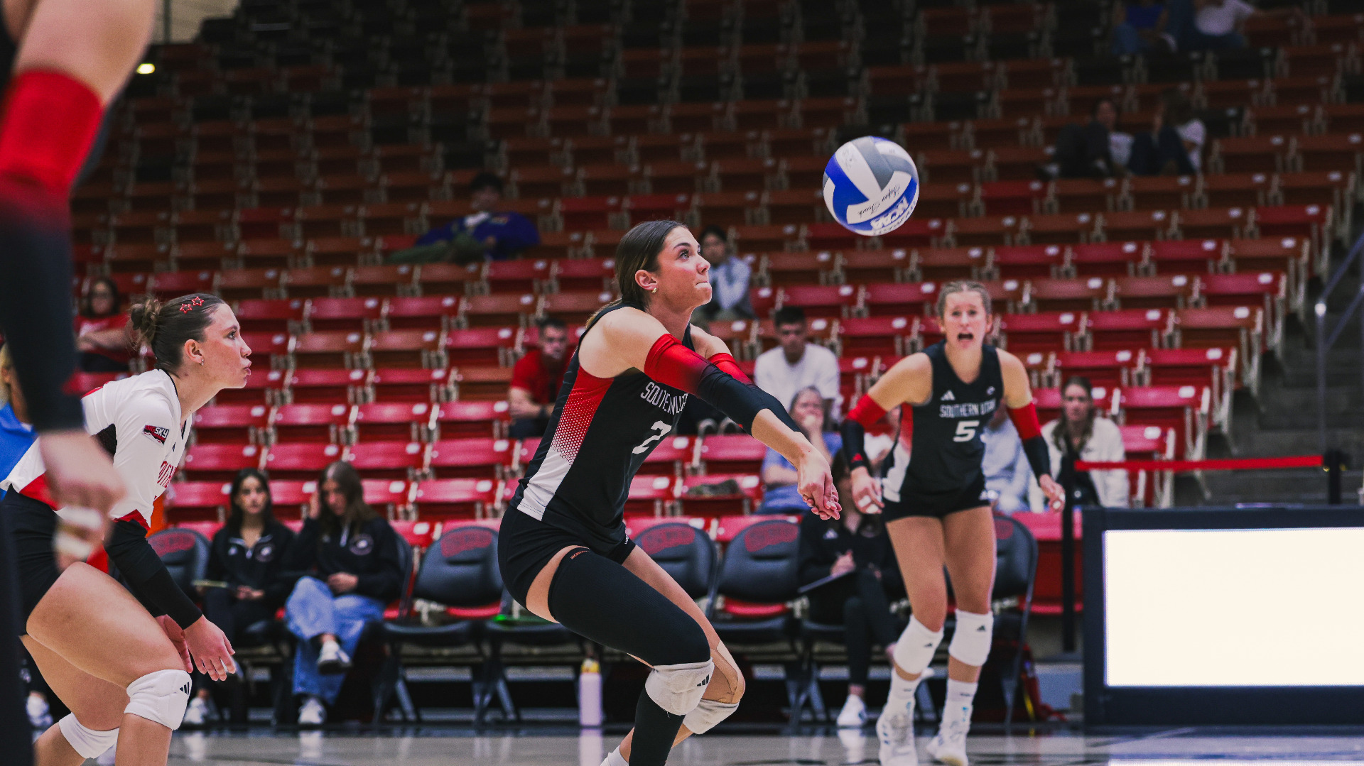 Audrey Atwood Dig