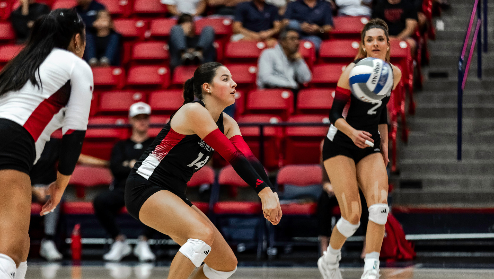 Kaitlyn Barnes Dig