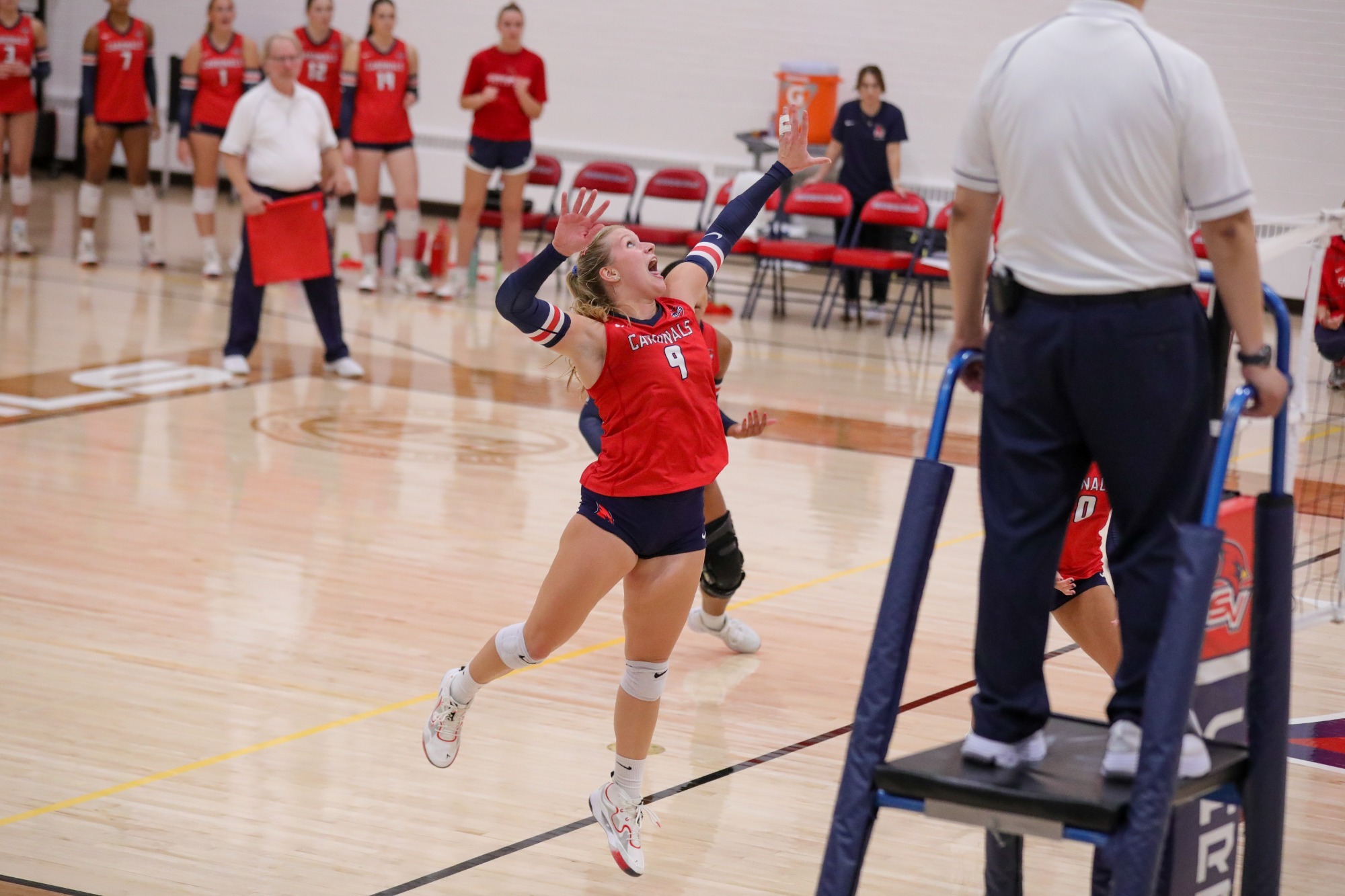Volleyball vs Parkside