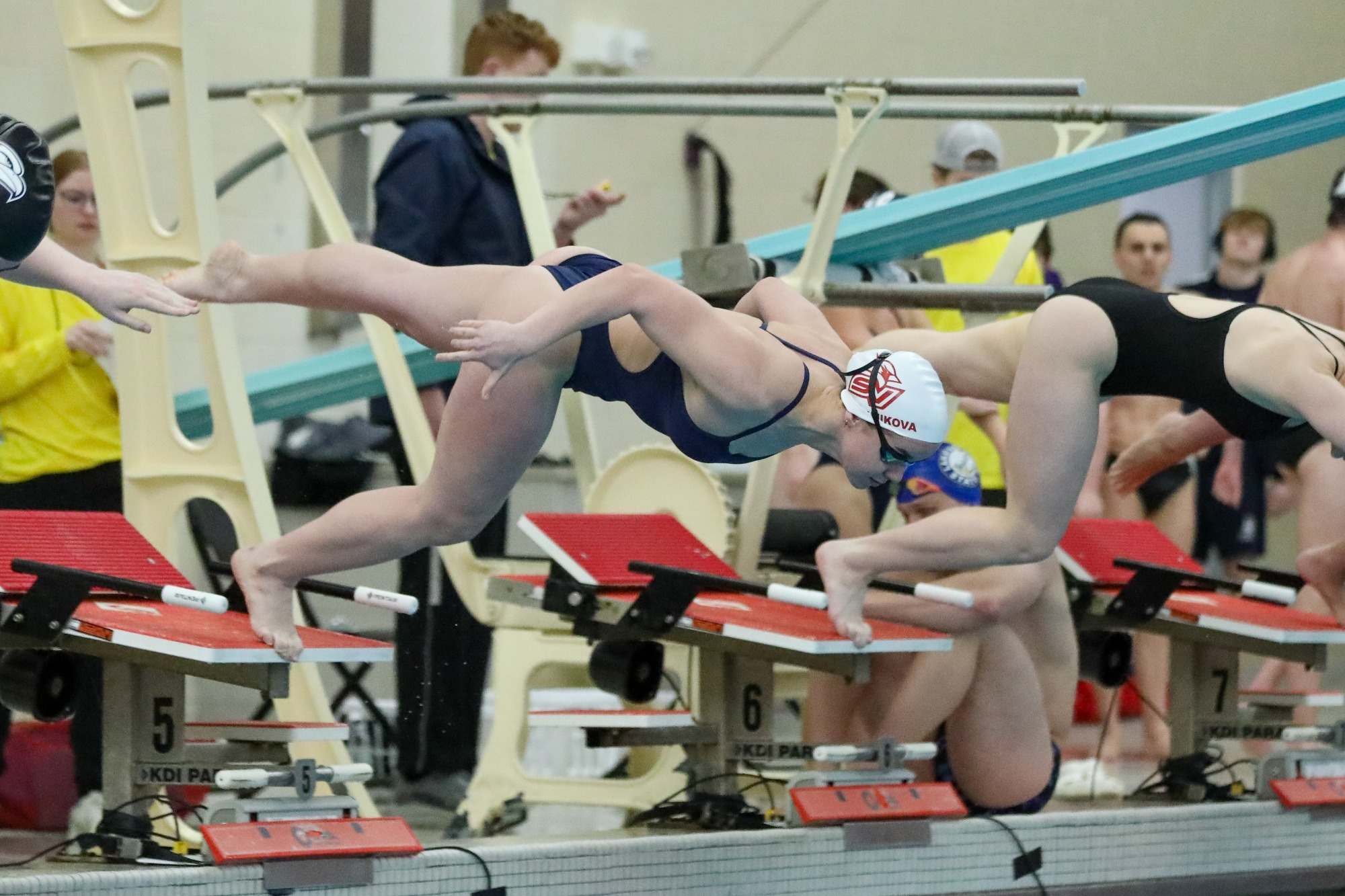 Swim & Dive at Alma Recap Photo
