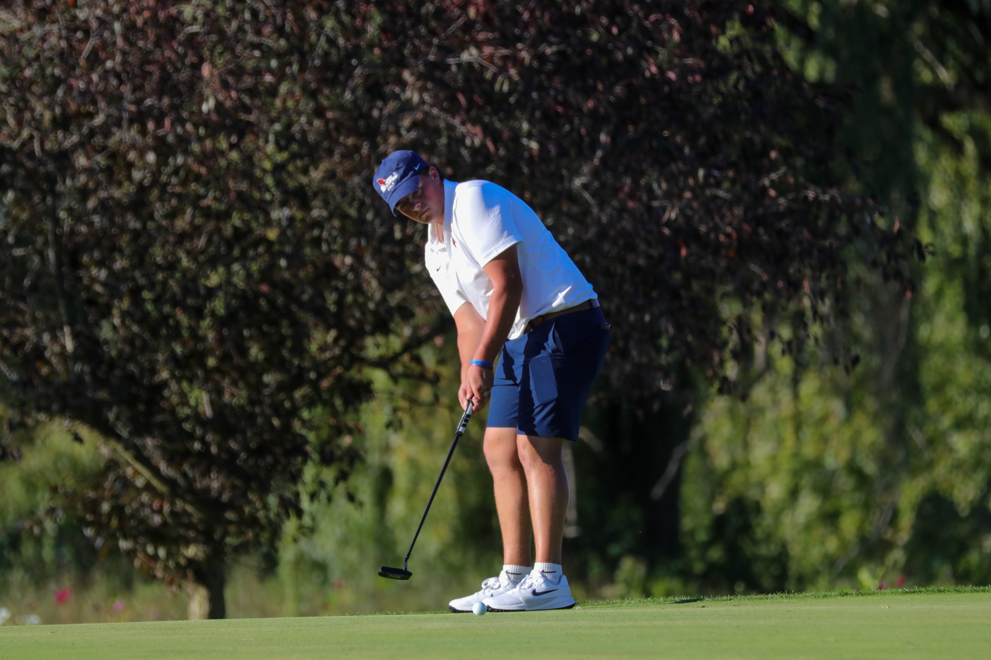 Men's Golf at Midwest/Central Region Preview Recap Photo