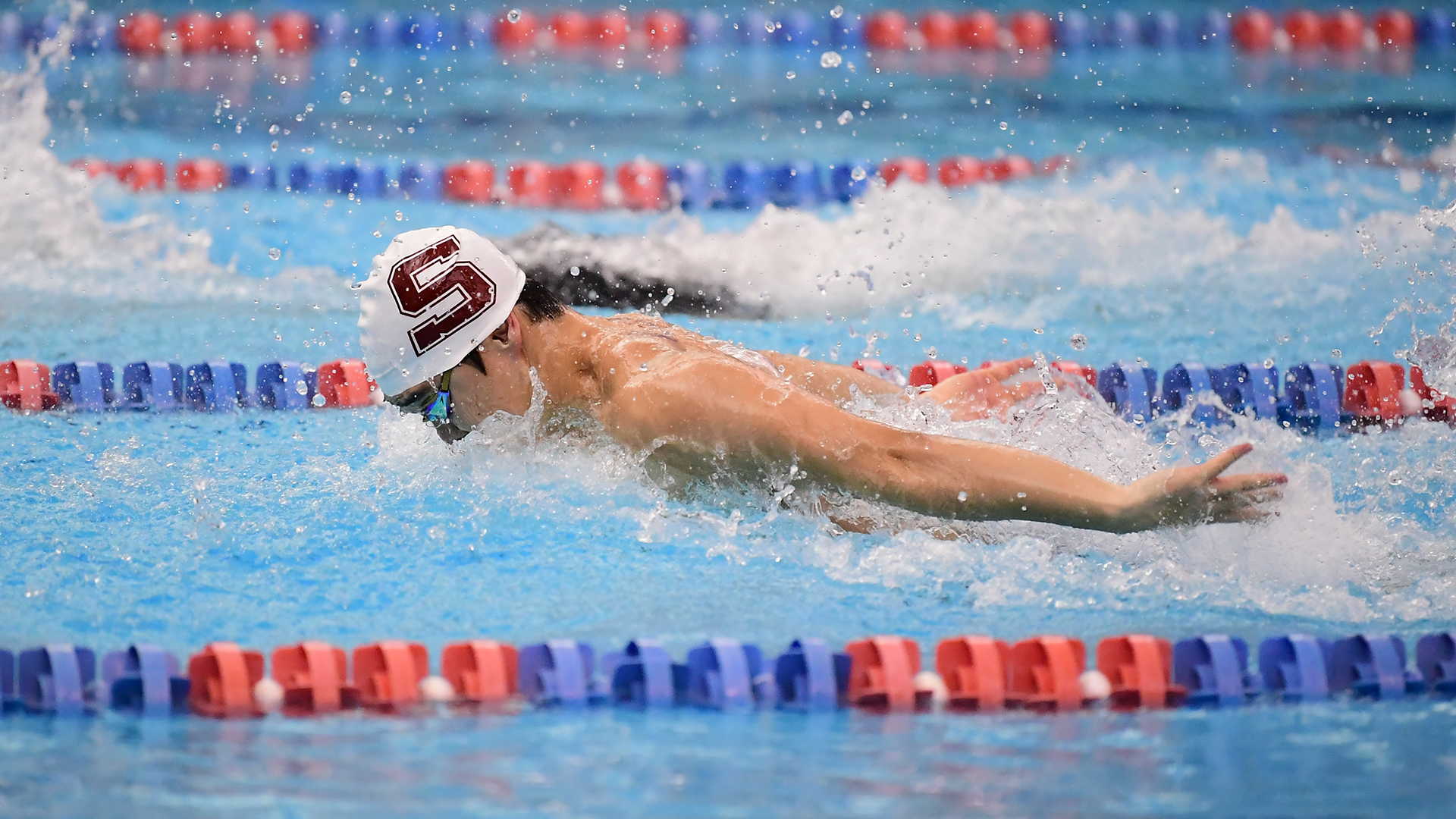 Wilson competes in butterfly at Centennial Championships 