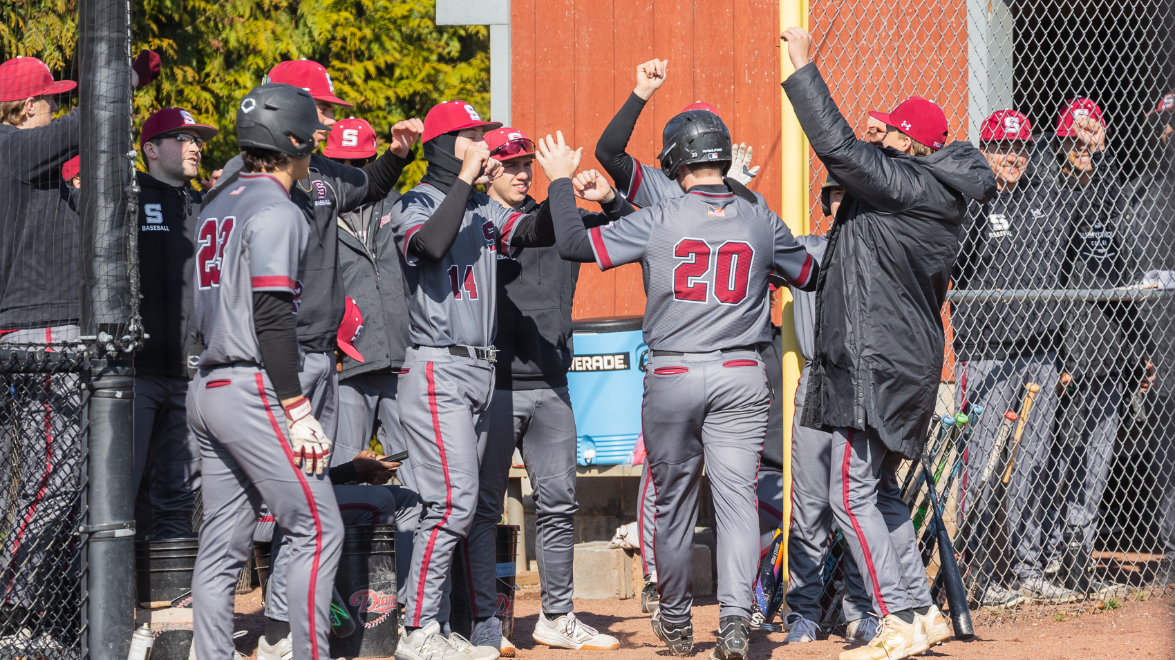 baseball celebration