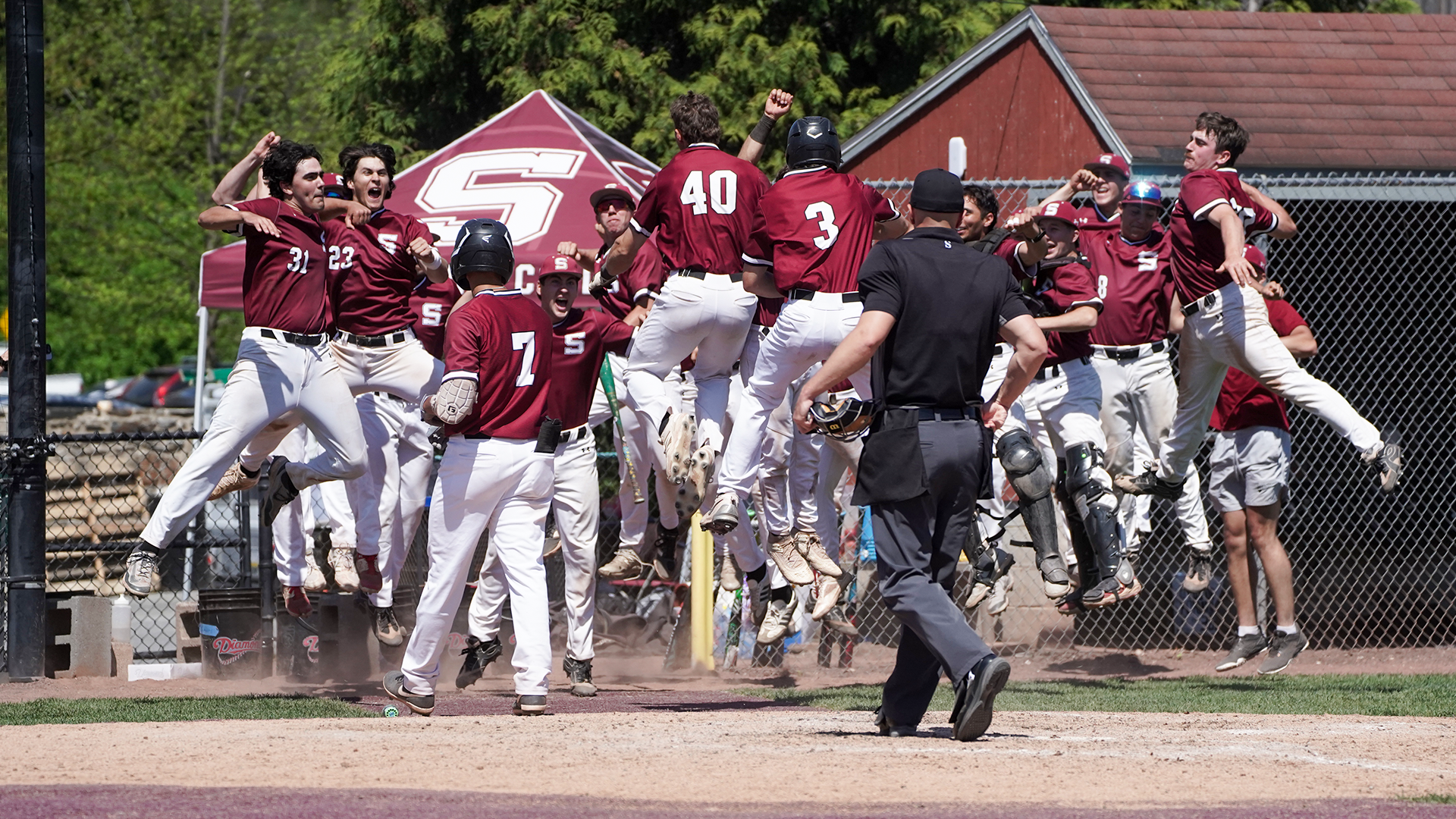 Johnston celebrates home run