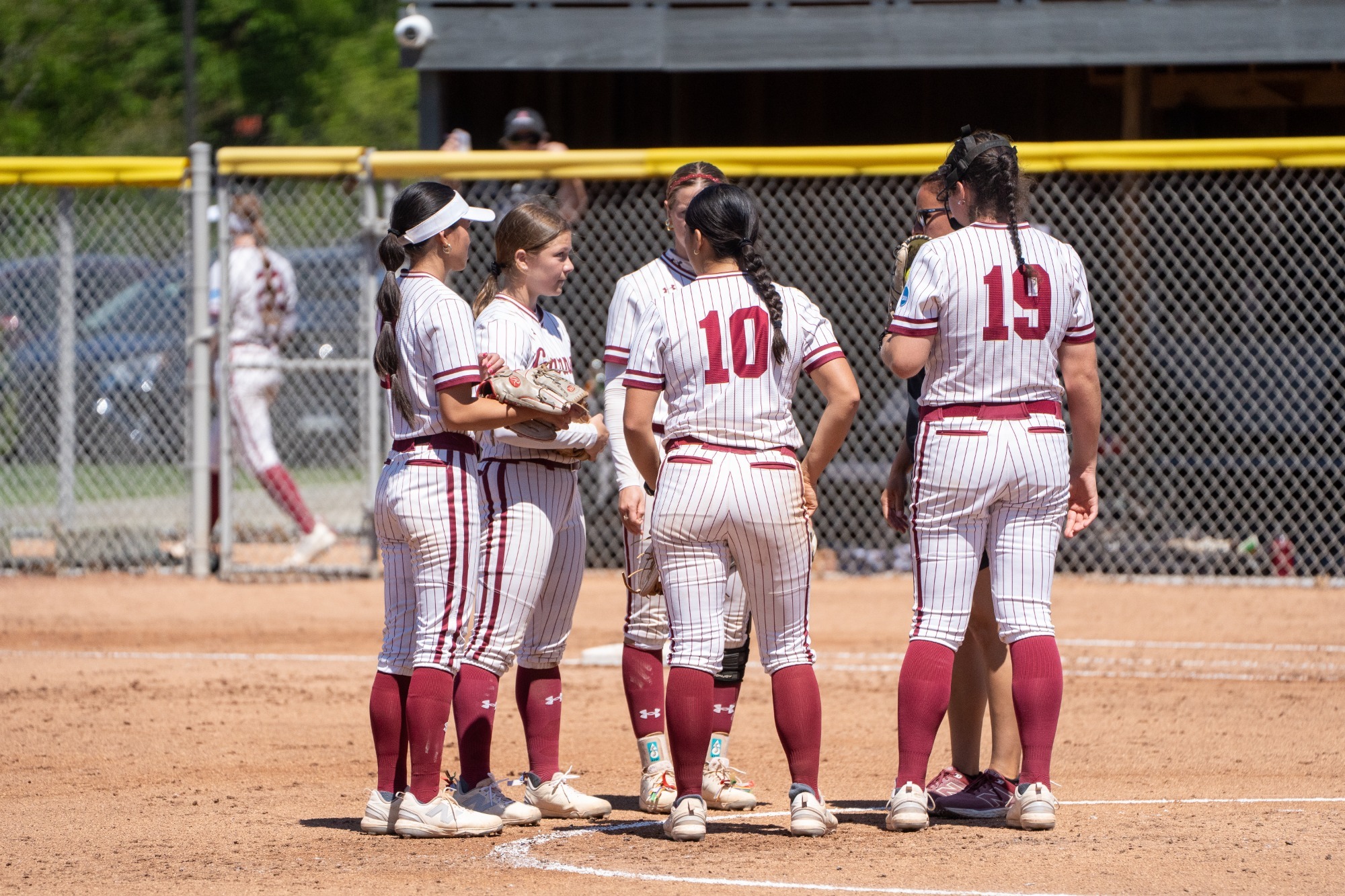 Softball mount visit