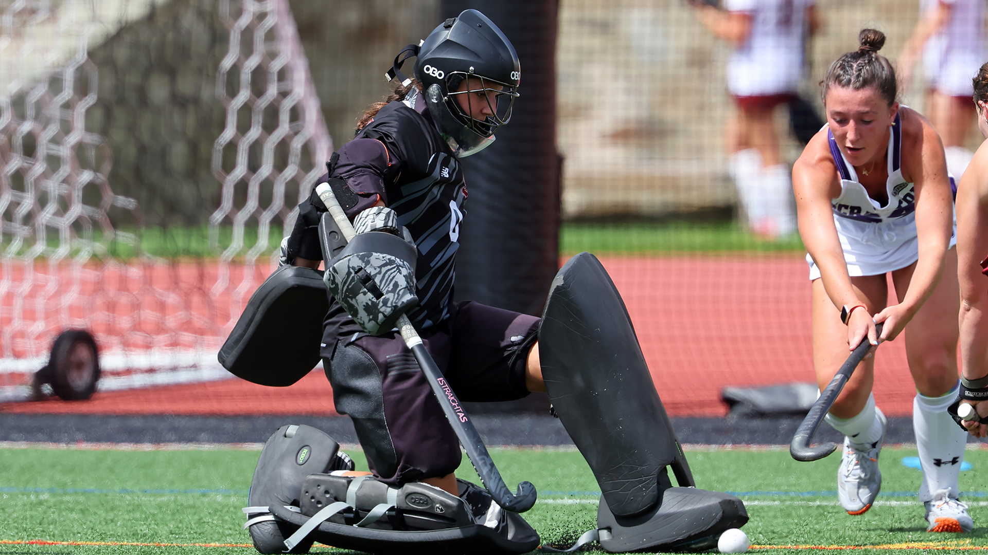Sarno makes save against Scranton