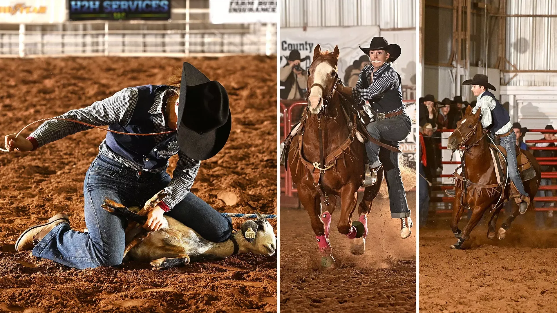 Three Rodeo Action Shots Side-By-Side at Northwestern Oct. 30-Nov.1
