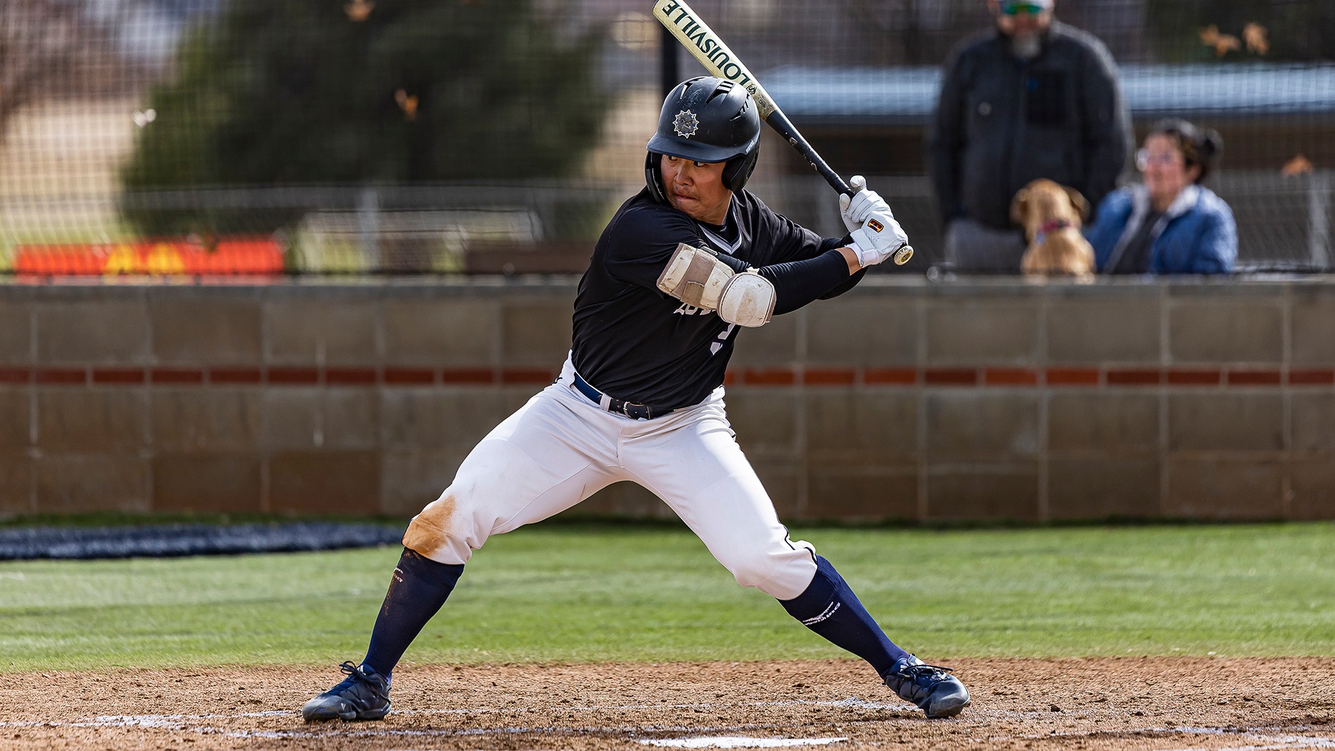 kataro wakui at the plate