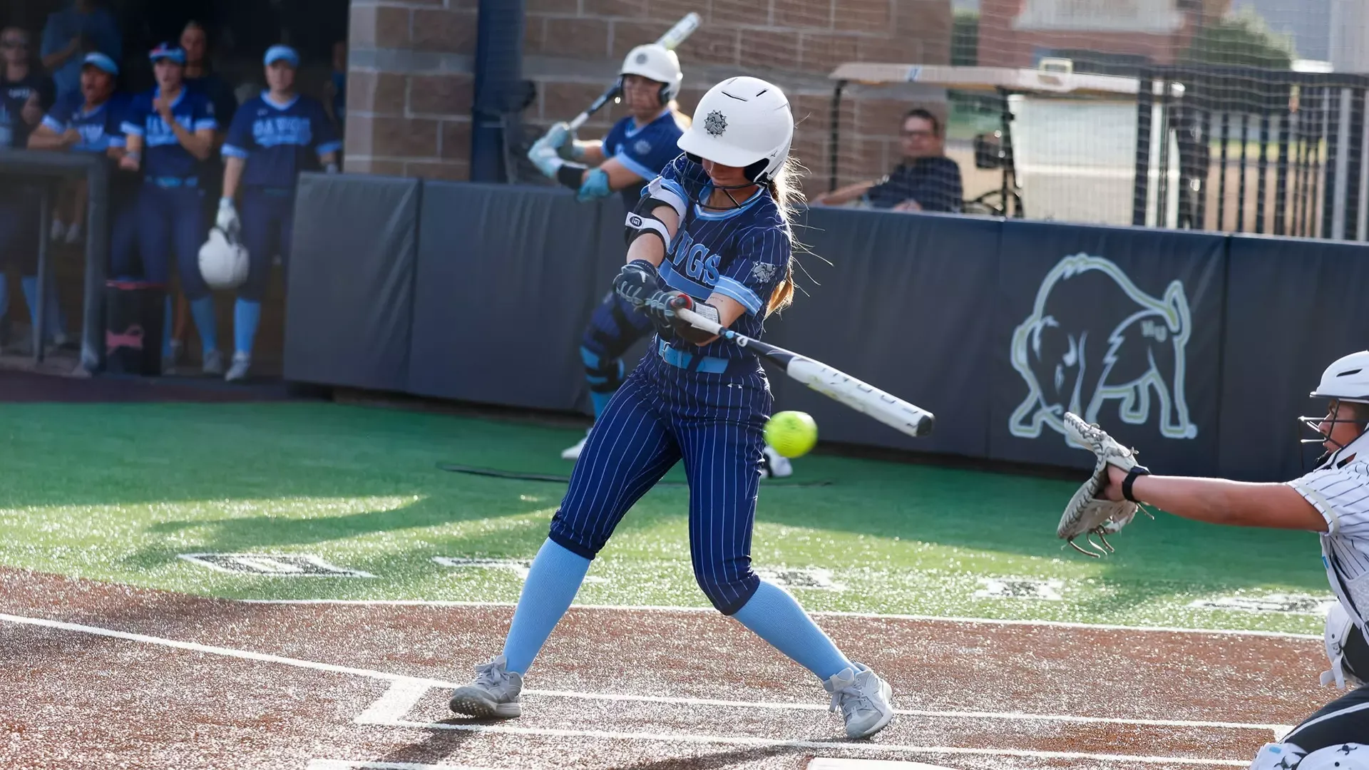 taylor mcmahon bats at harding