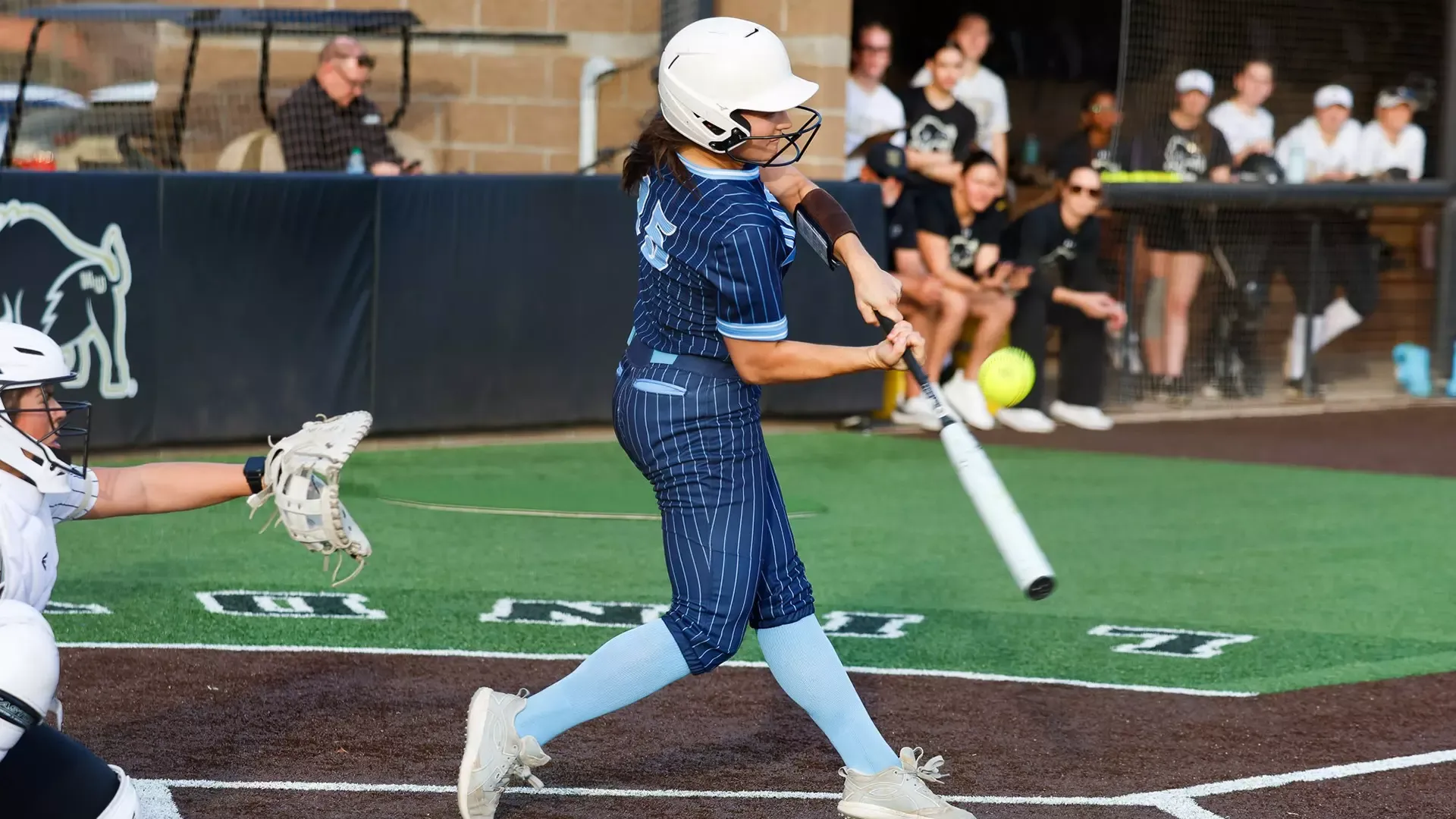 landry bayless bats at Harding