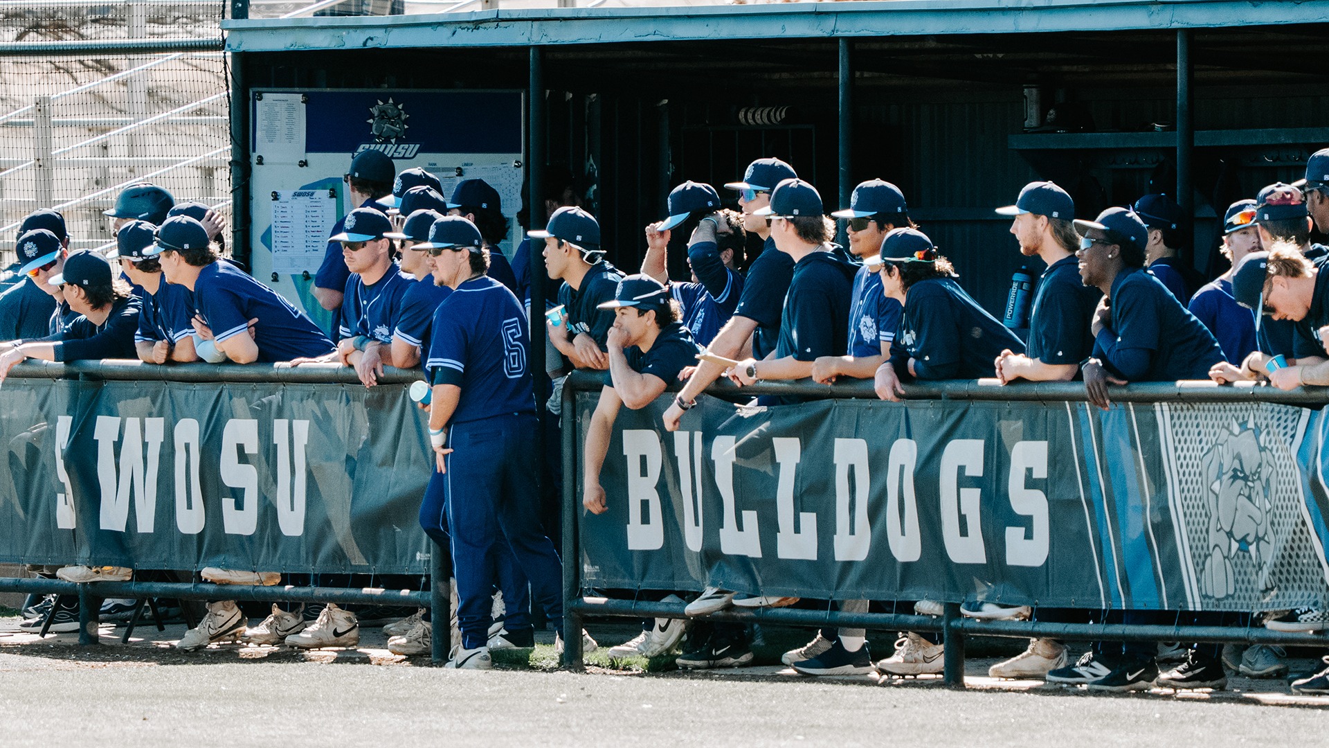 baseball dugout shot