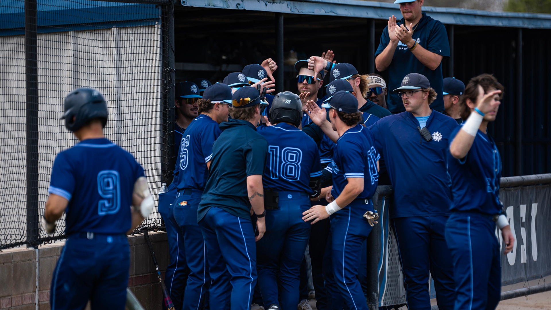 swosu baseball john spoto celebrates with the dugout after scoring a run