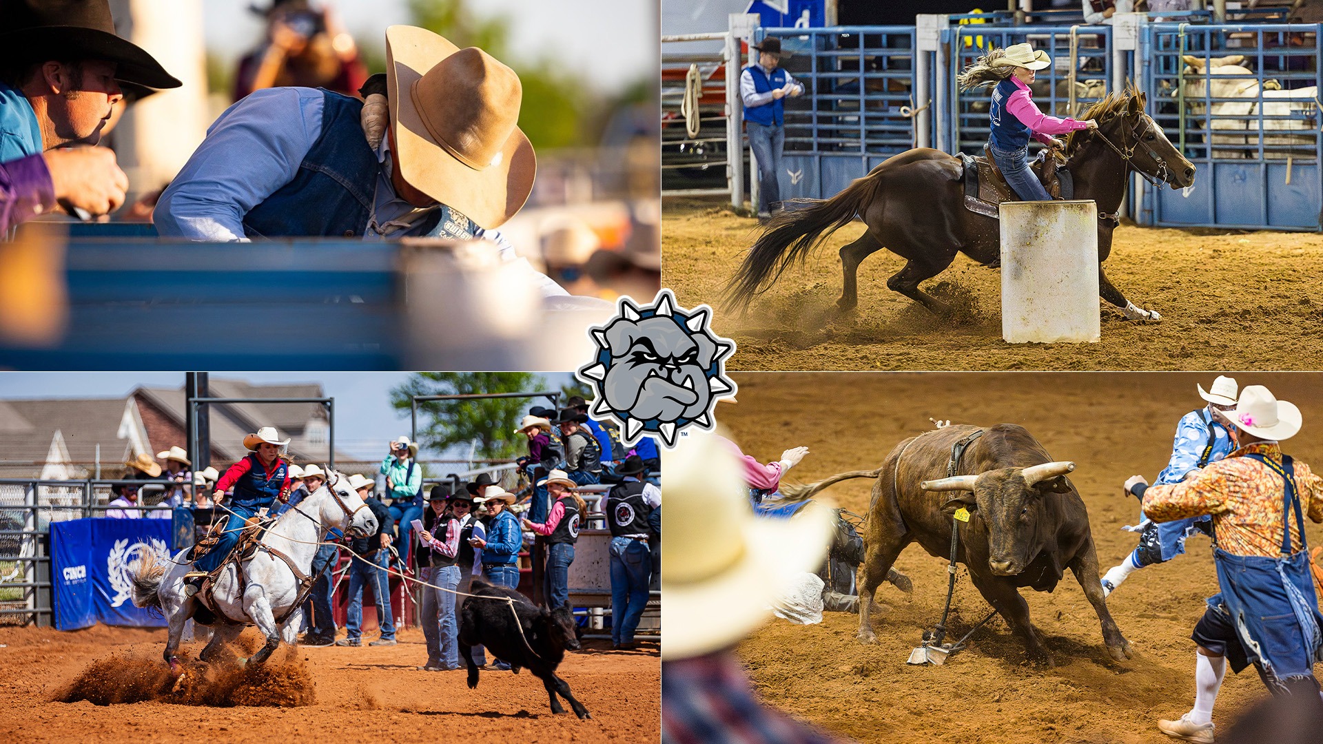 four pictures in a square of shots taken at the swosu rodeo