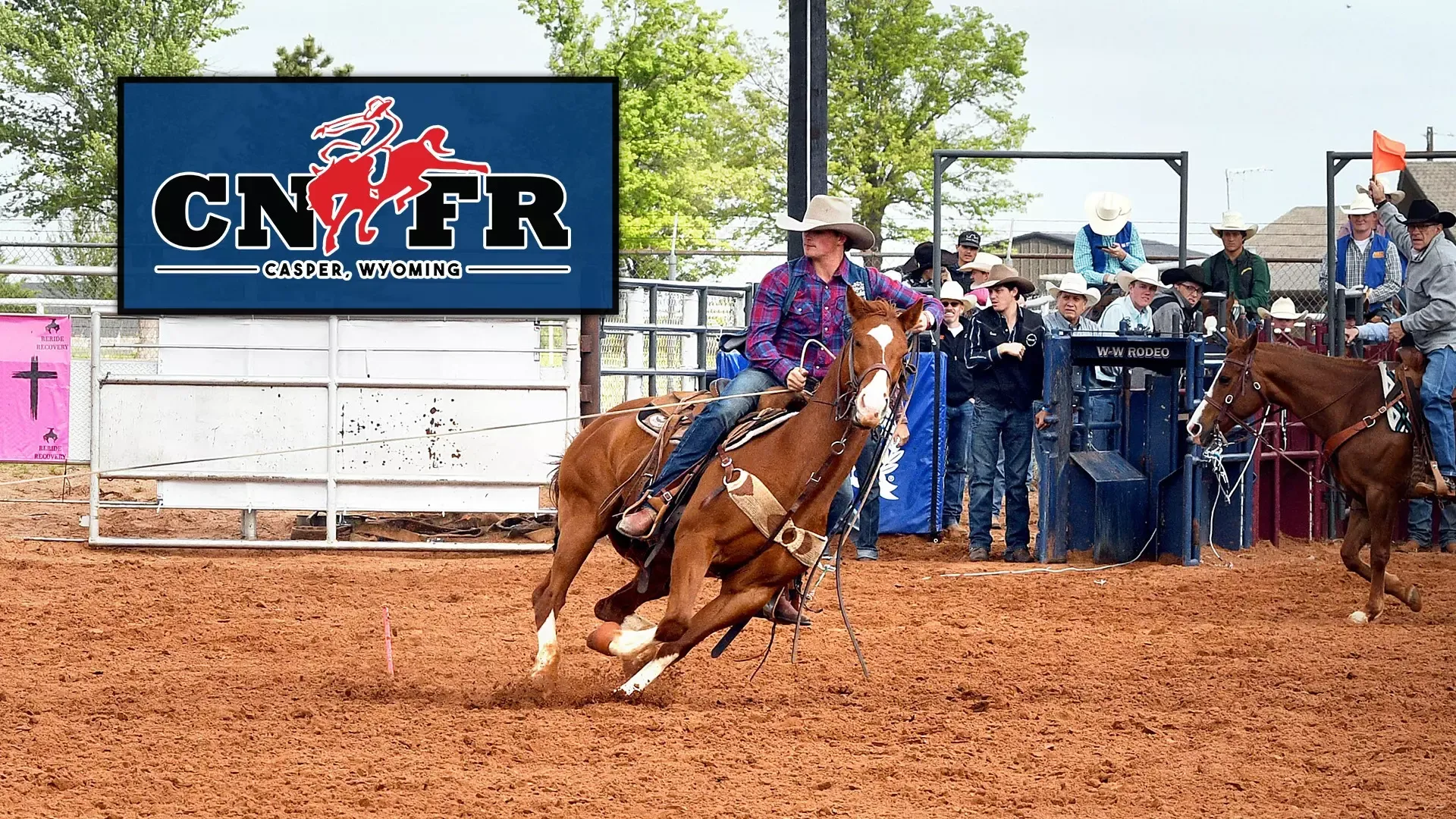 heston harrison roping in an action shot with a CNFR logo on the picture