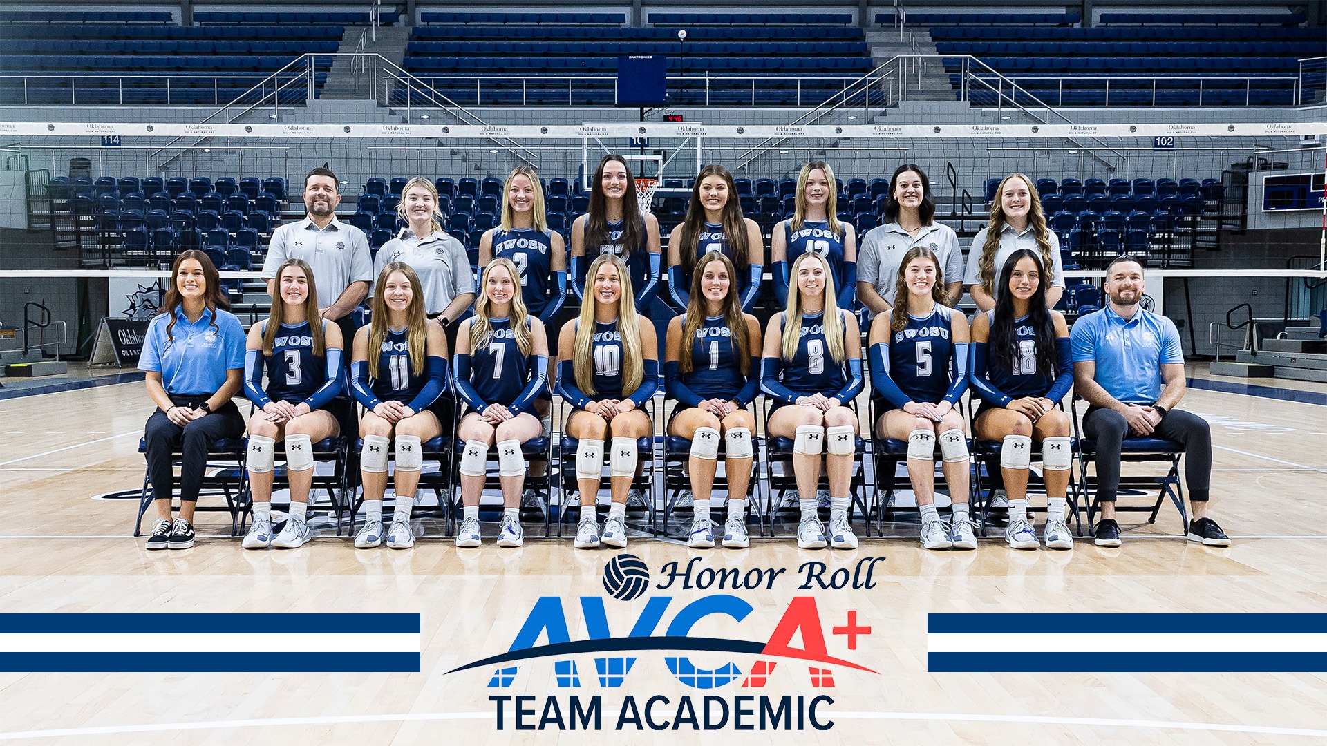 Volleyball Team Photo with AVCA Logo on it, who is the organization who has given the award