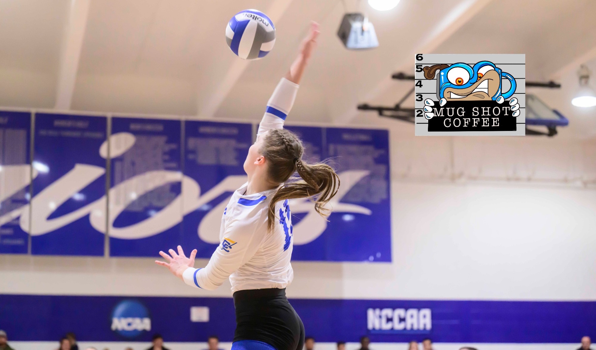 MSC AOTW Michaela Andress