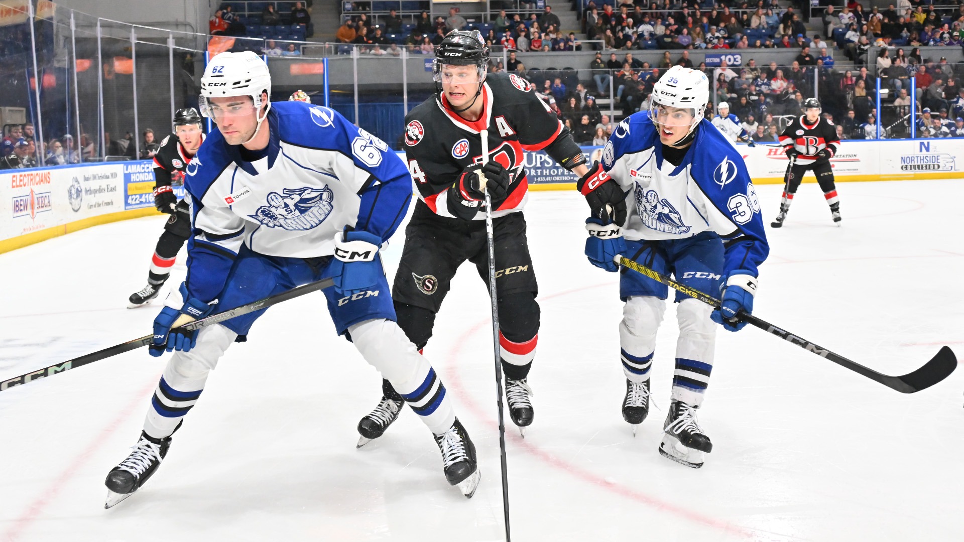 Crunch vs. Senators