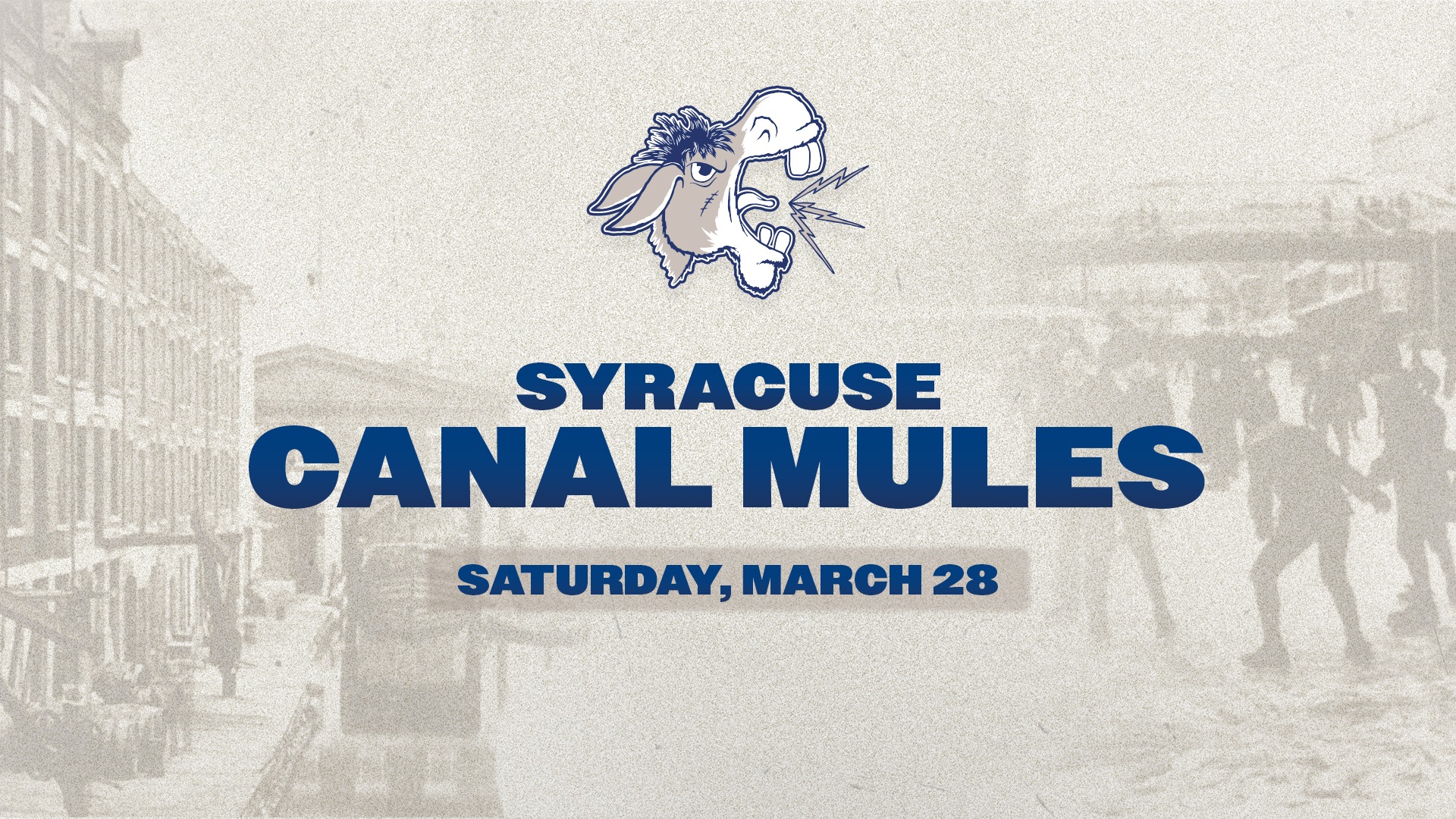 Syracuse Canal Mules