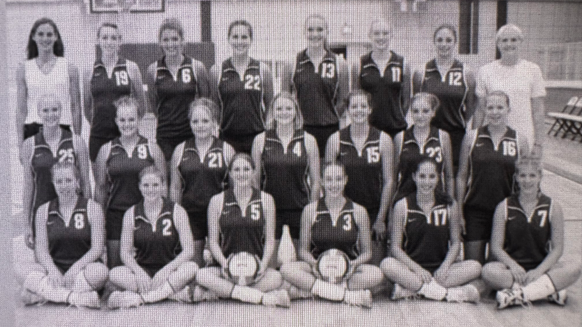 volleyball