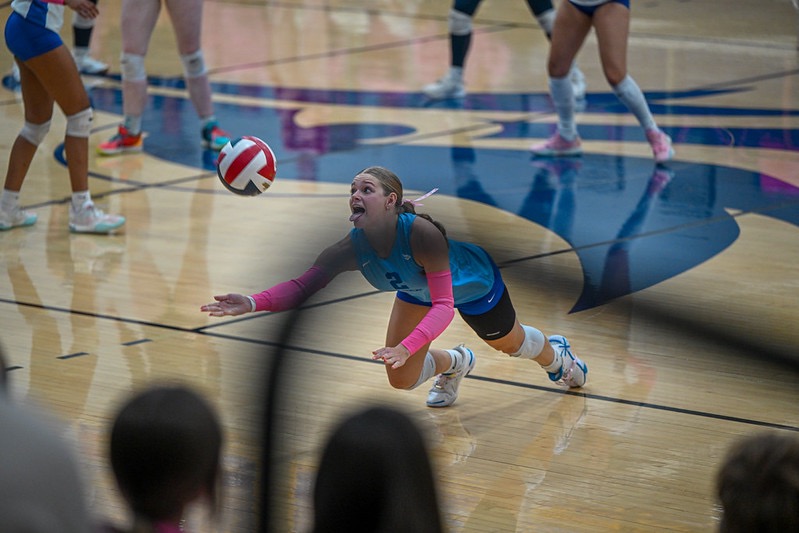 tc vb