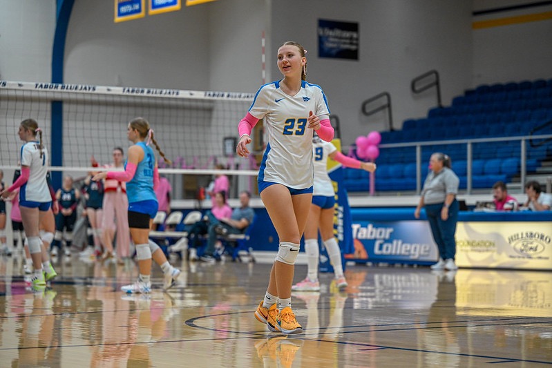 tc vb