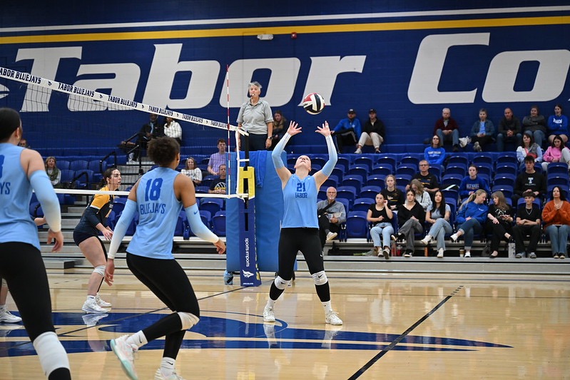 tc vb