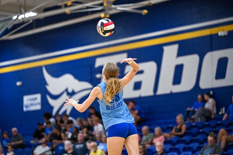 vb