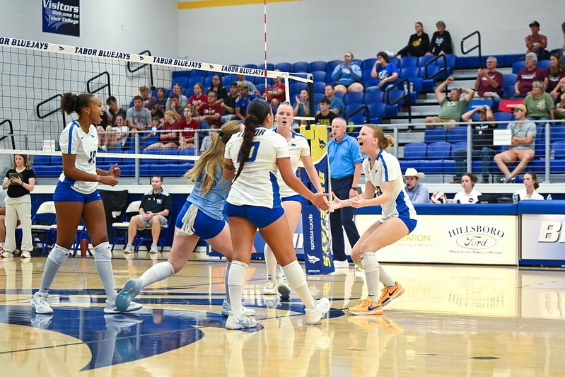 vb