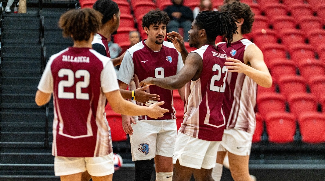 Men's Volleyball Team Photo