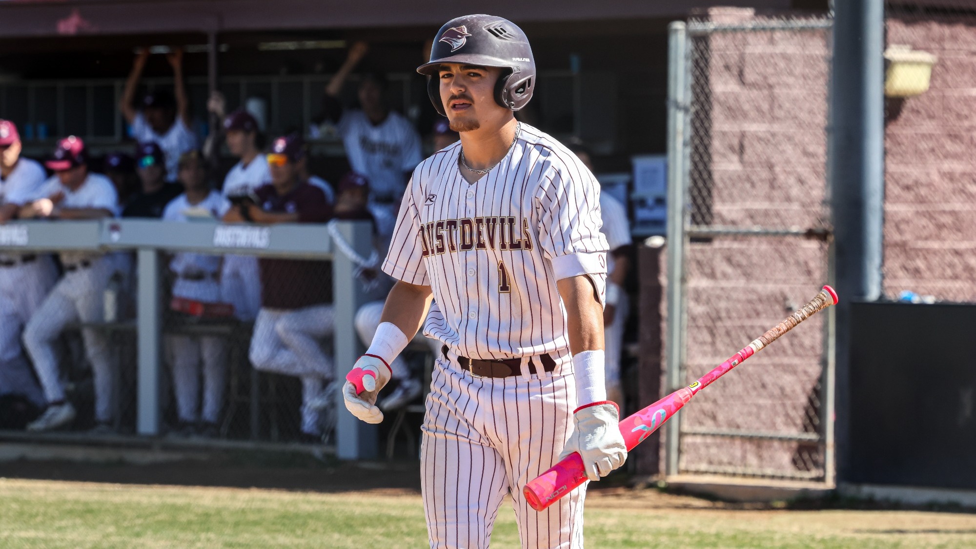 Iann Cobos Struck Out