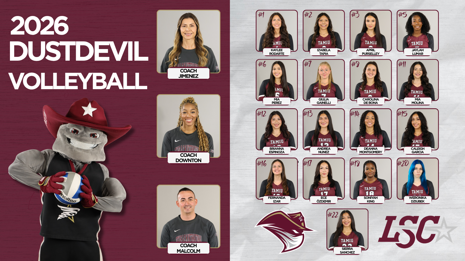 2026 Dustdevil Volleyball Poster