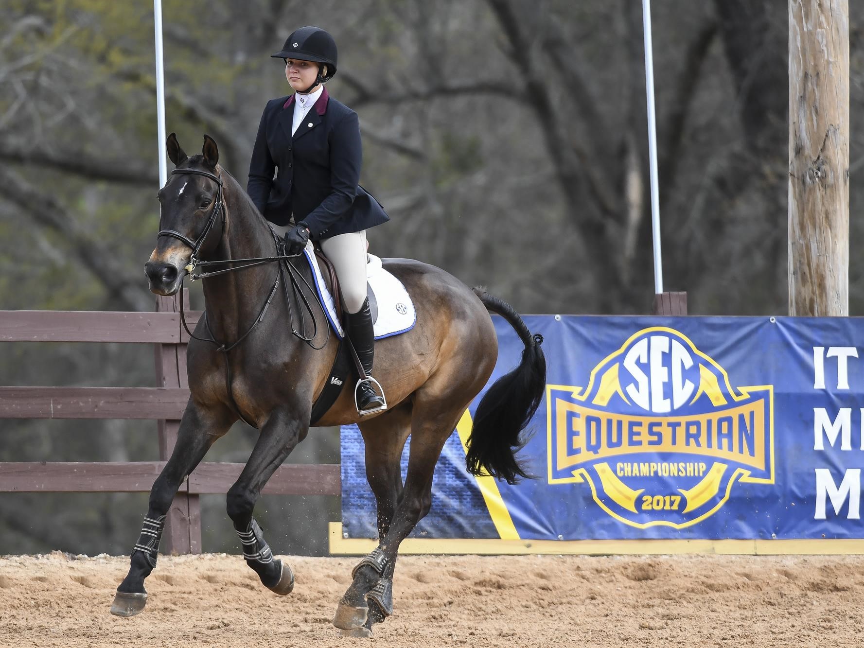 Rachael Hake Equestrian Texas A&M Athletics