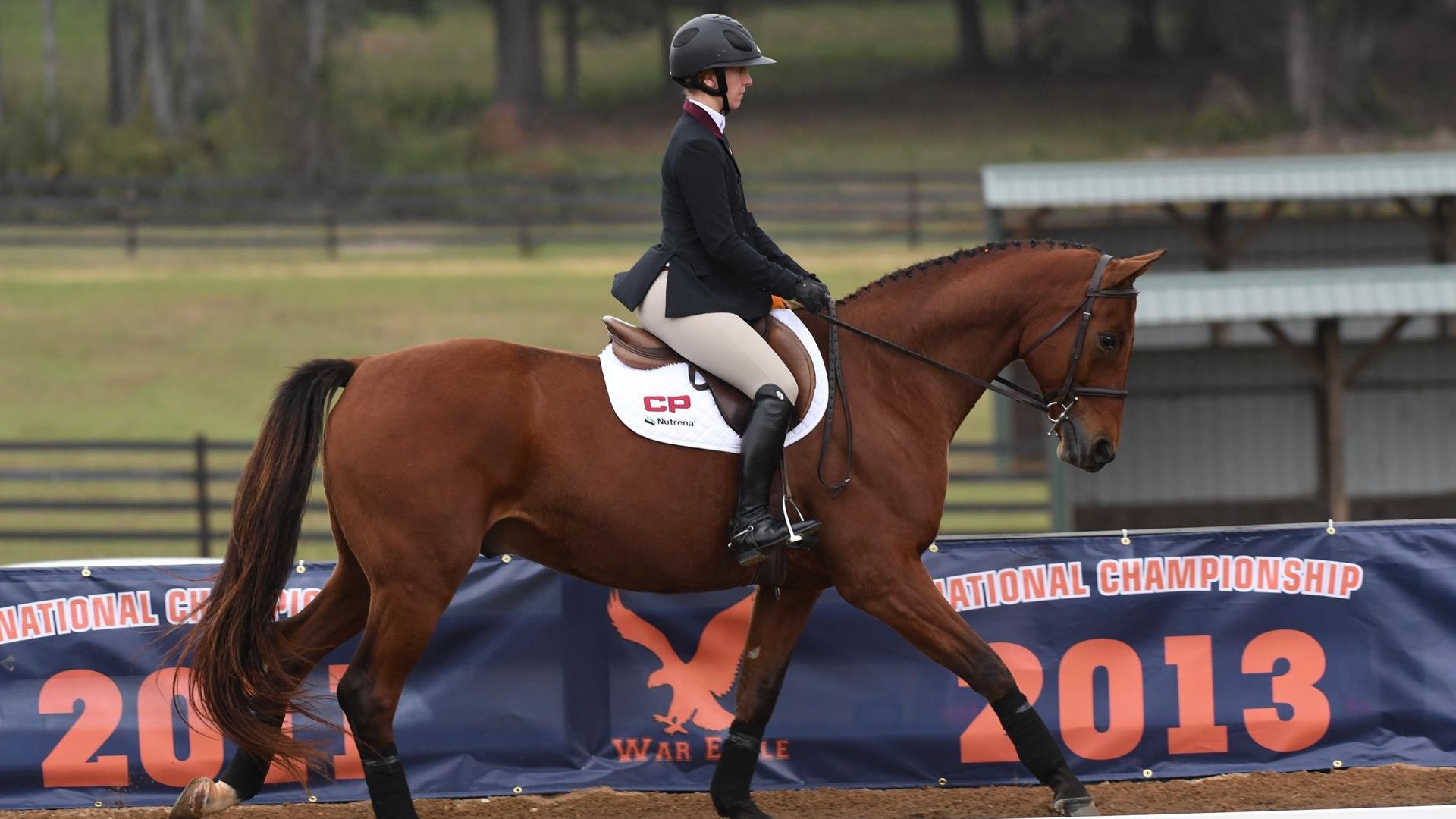Nicole Leonard Equestrian Texas A&M Athletics