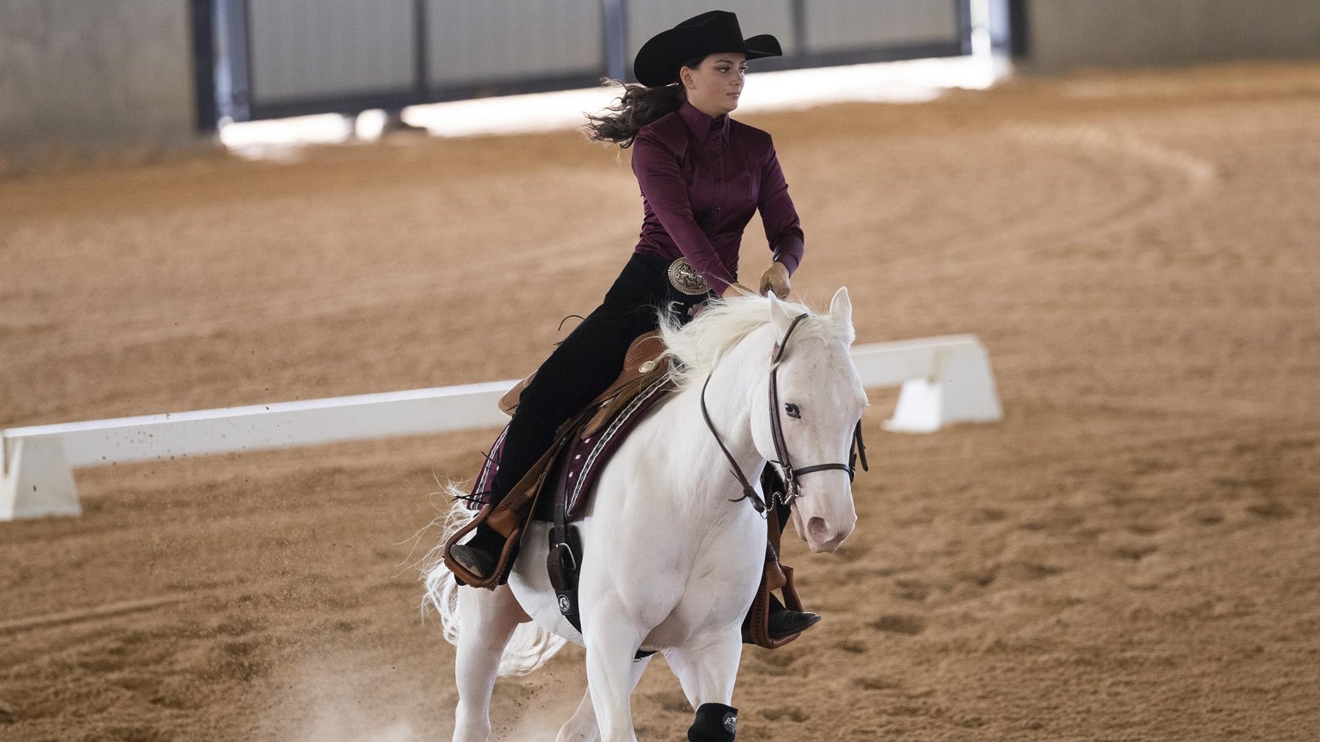 Hanna Olaussen Equestrian Texas A&M Athletics