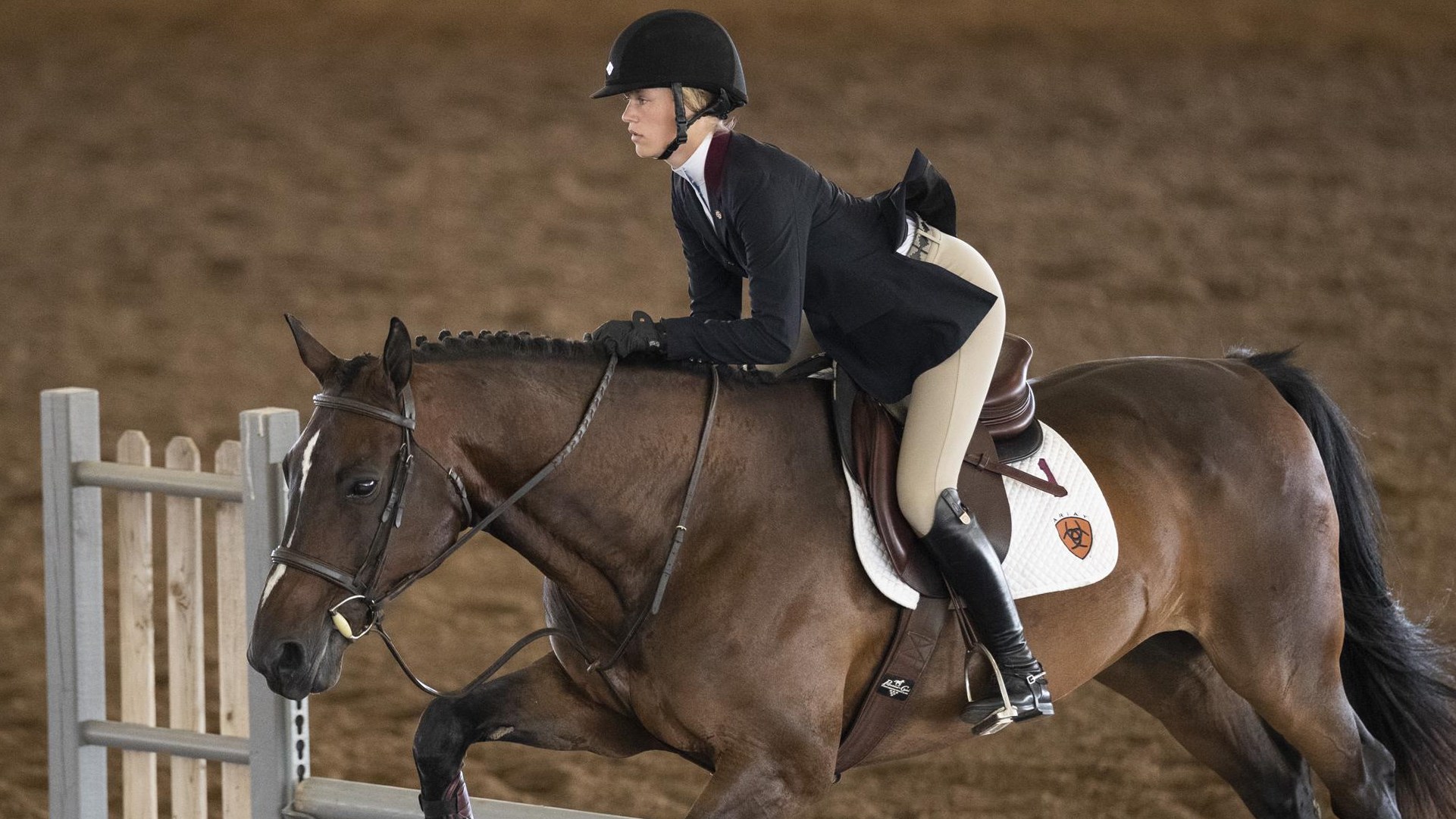 Haley Redifer Equestrian Texas A&M Athletics